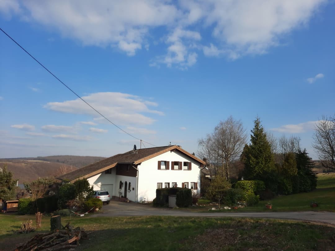 Large Image