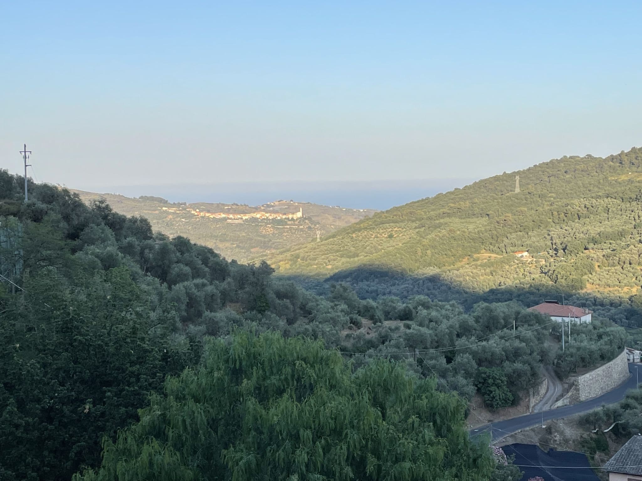 View