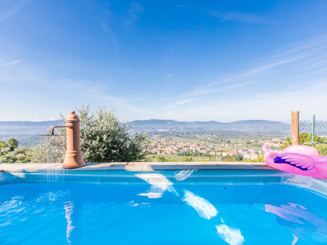 Large Image