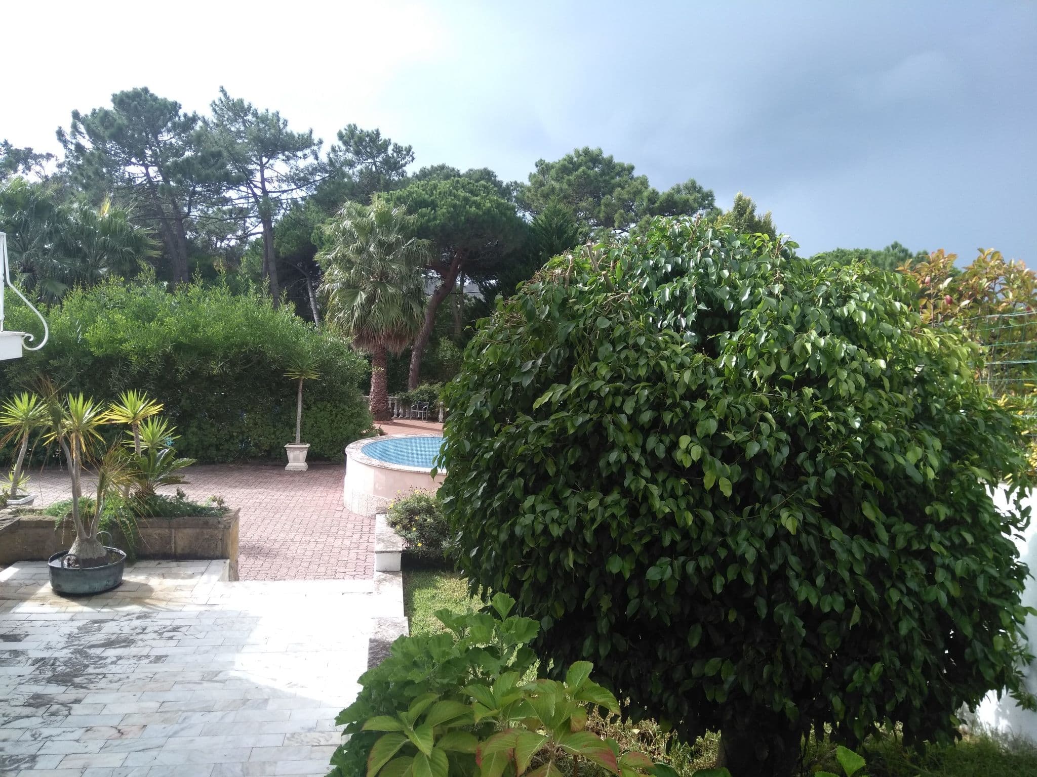 Gallery Image 12