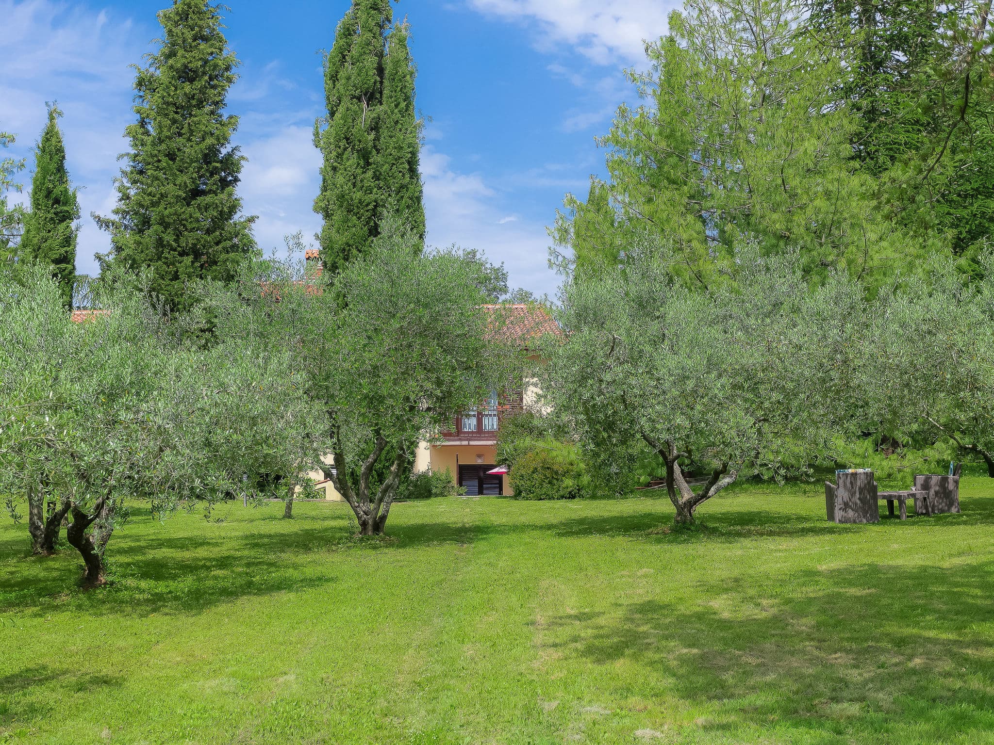 Outdoor