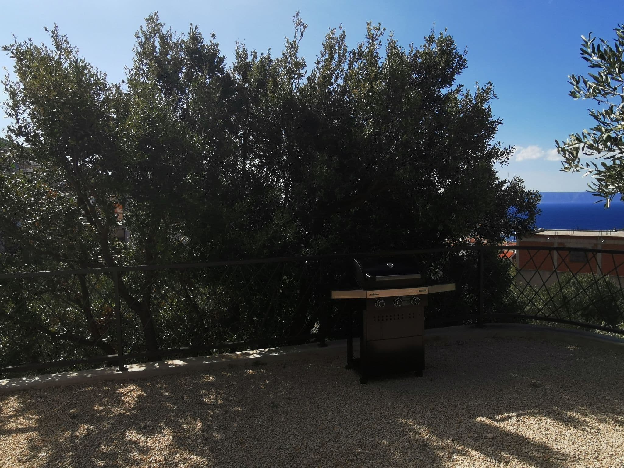 Gallery Image 12