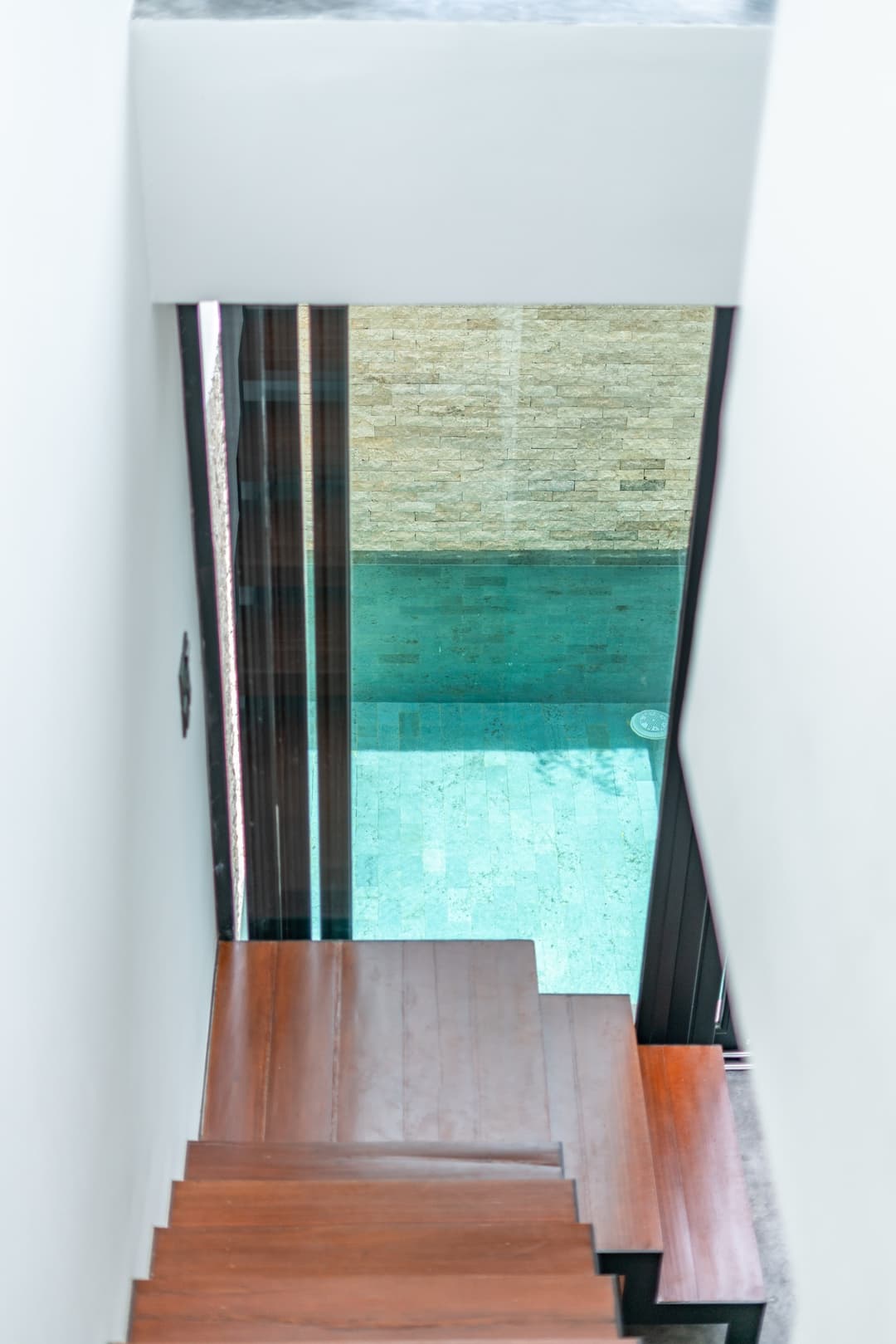 Gallery Image 239