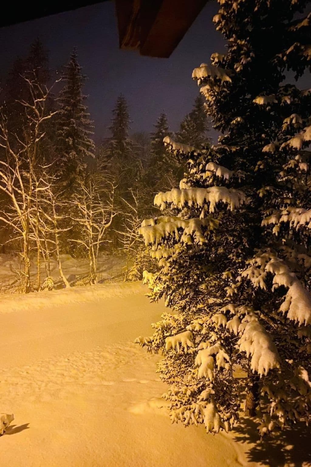 Gallery Image 12