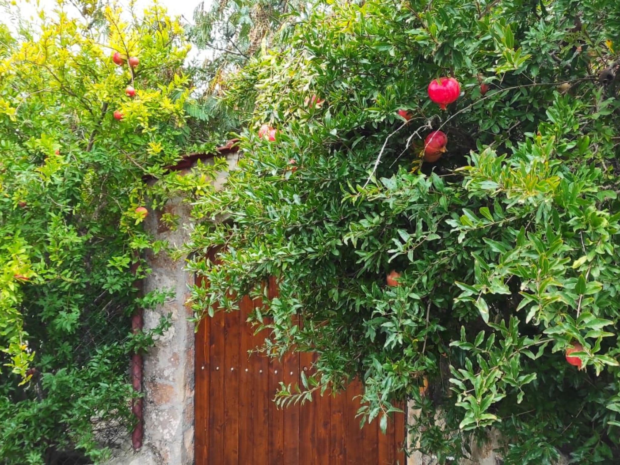 Gallery Image 23