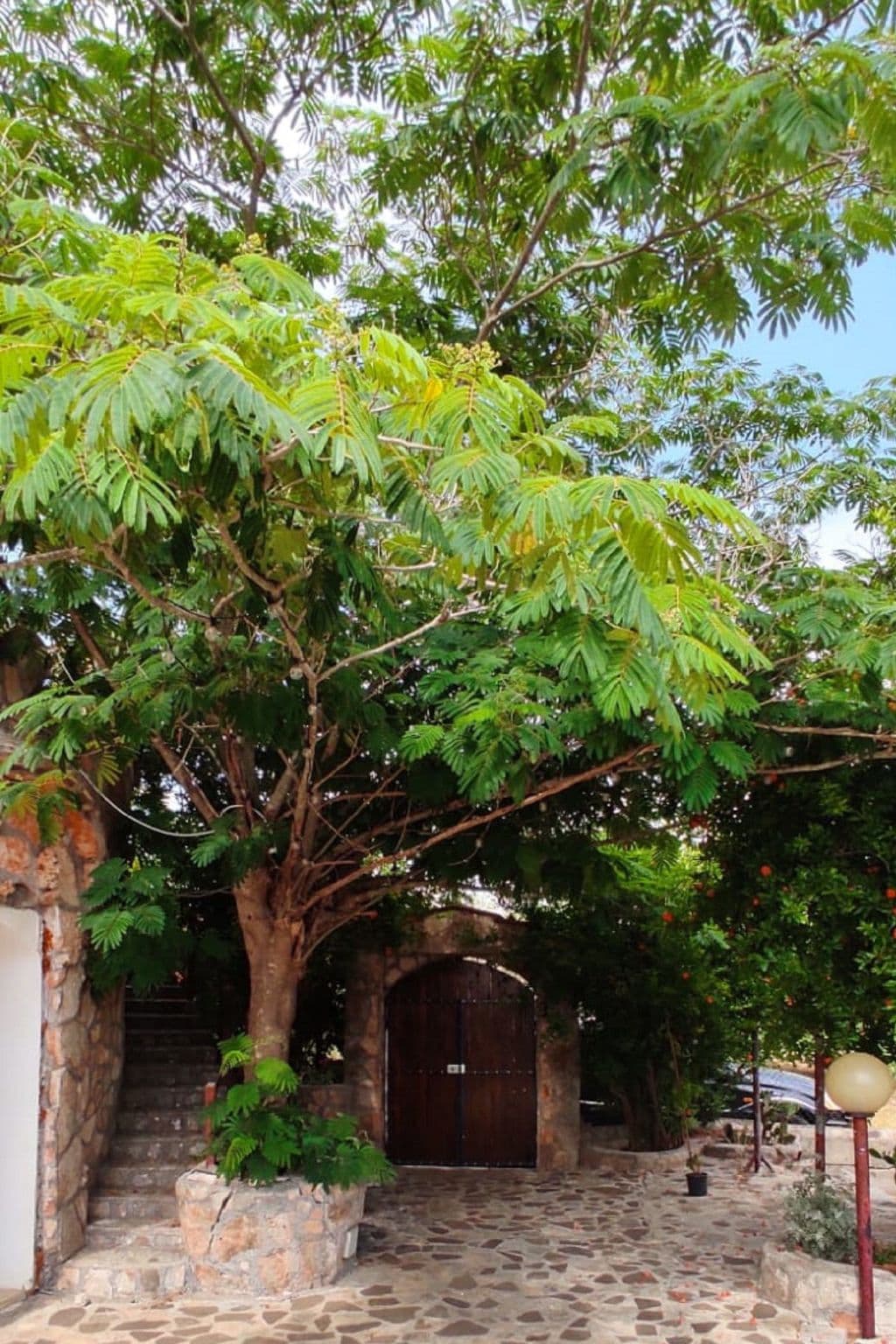 House