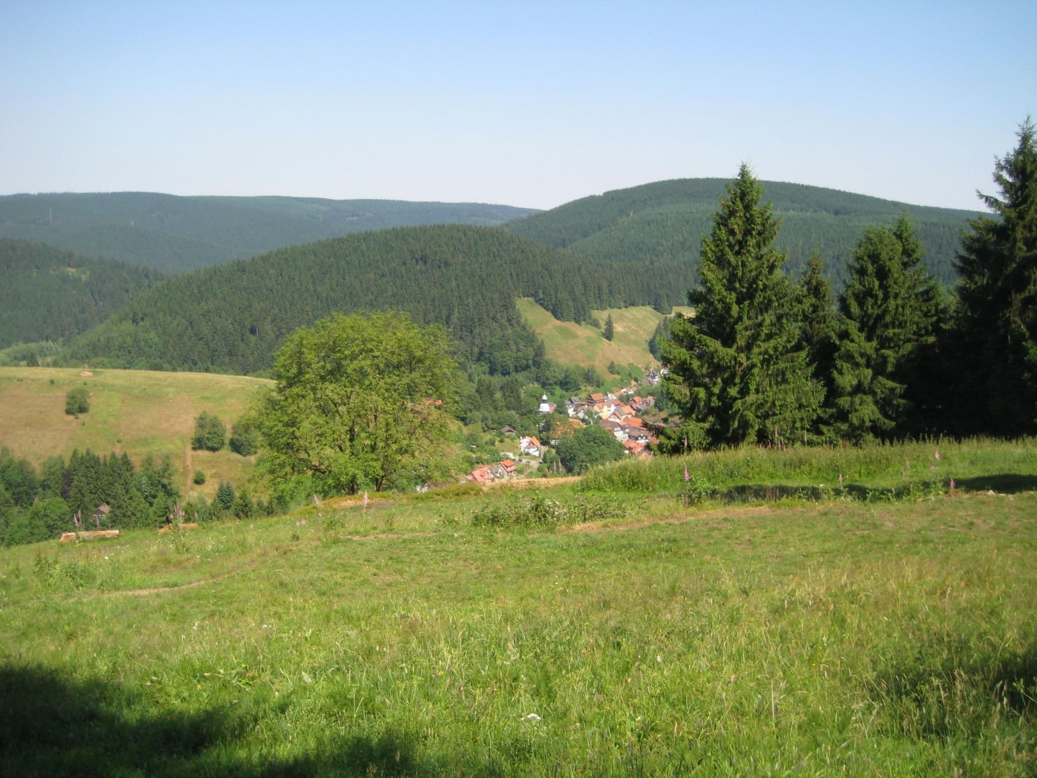 View