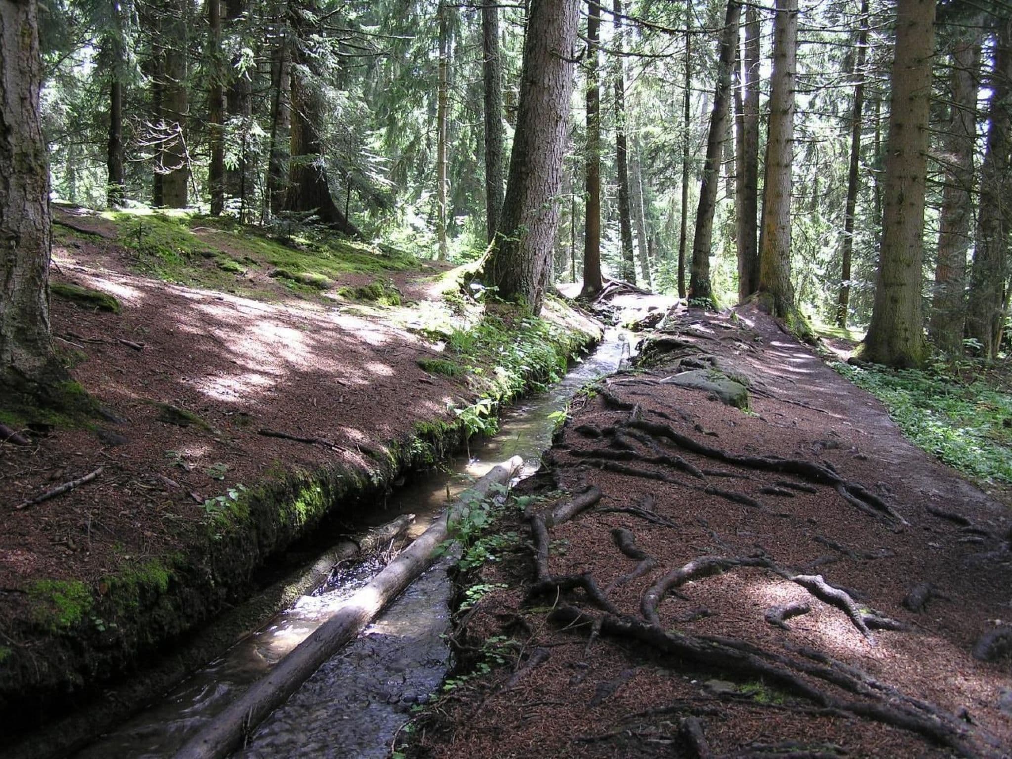 Gallery Image 14