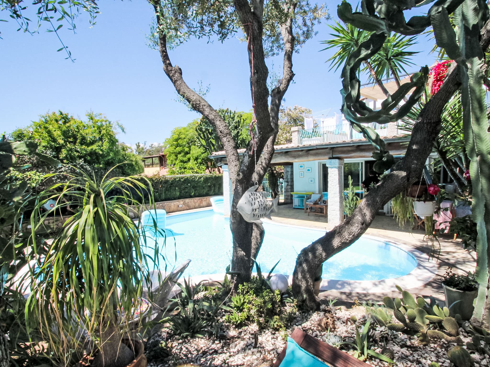 Pool Outdoor