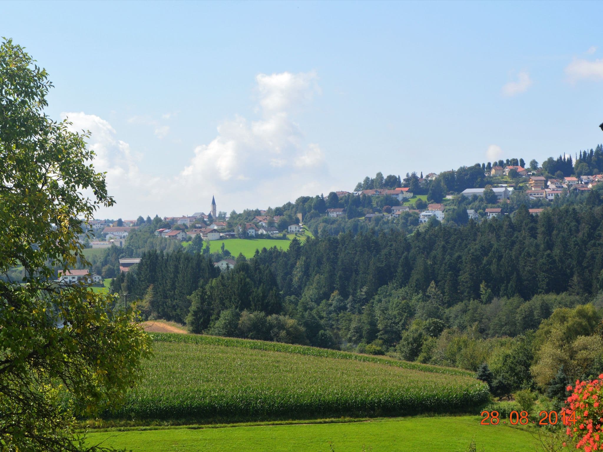 View