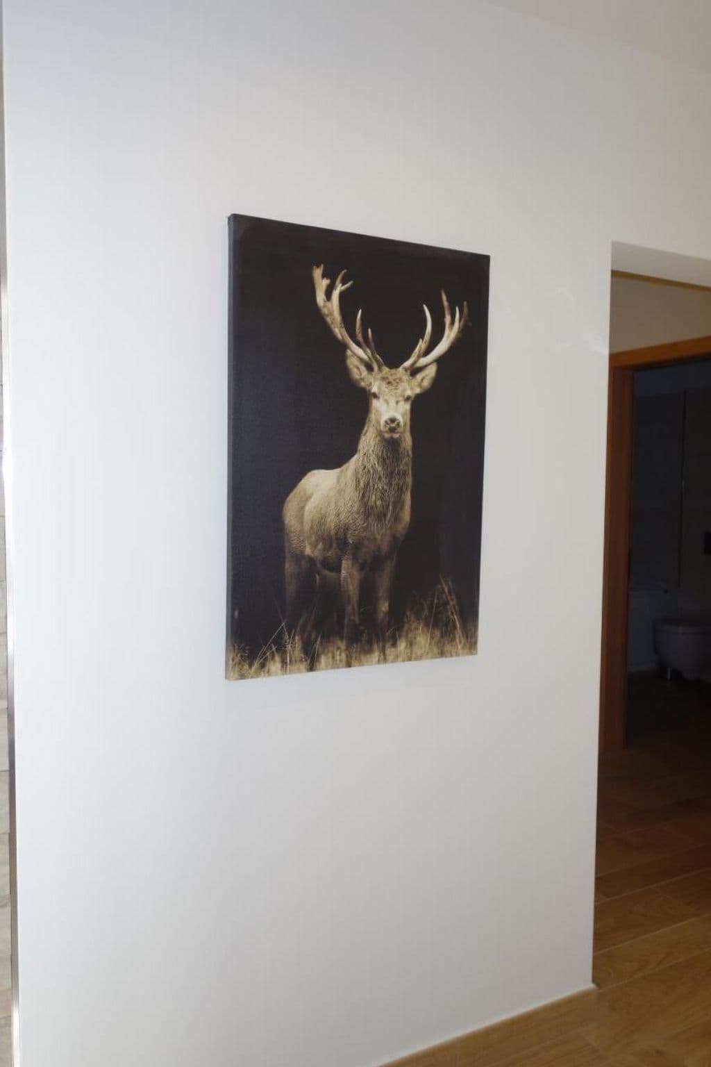 Gallery Image 11