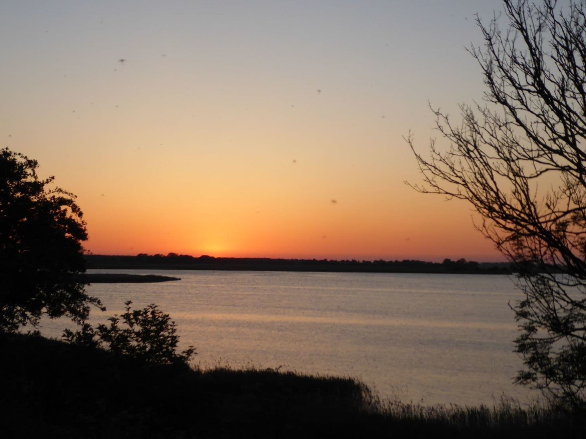 Gallery Image 38