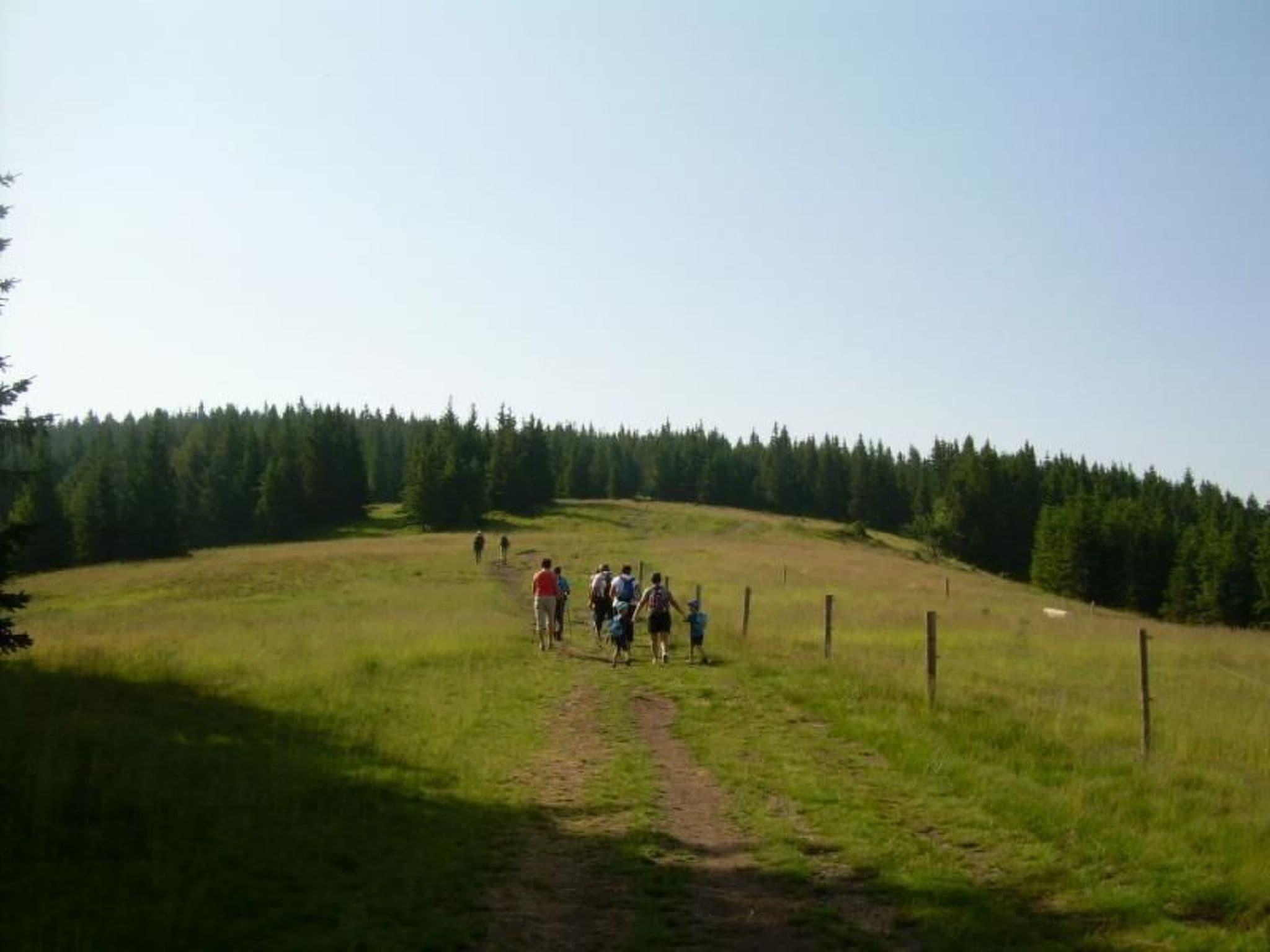 Gallery Image 11