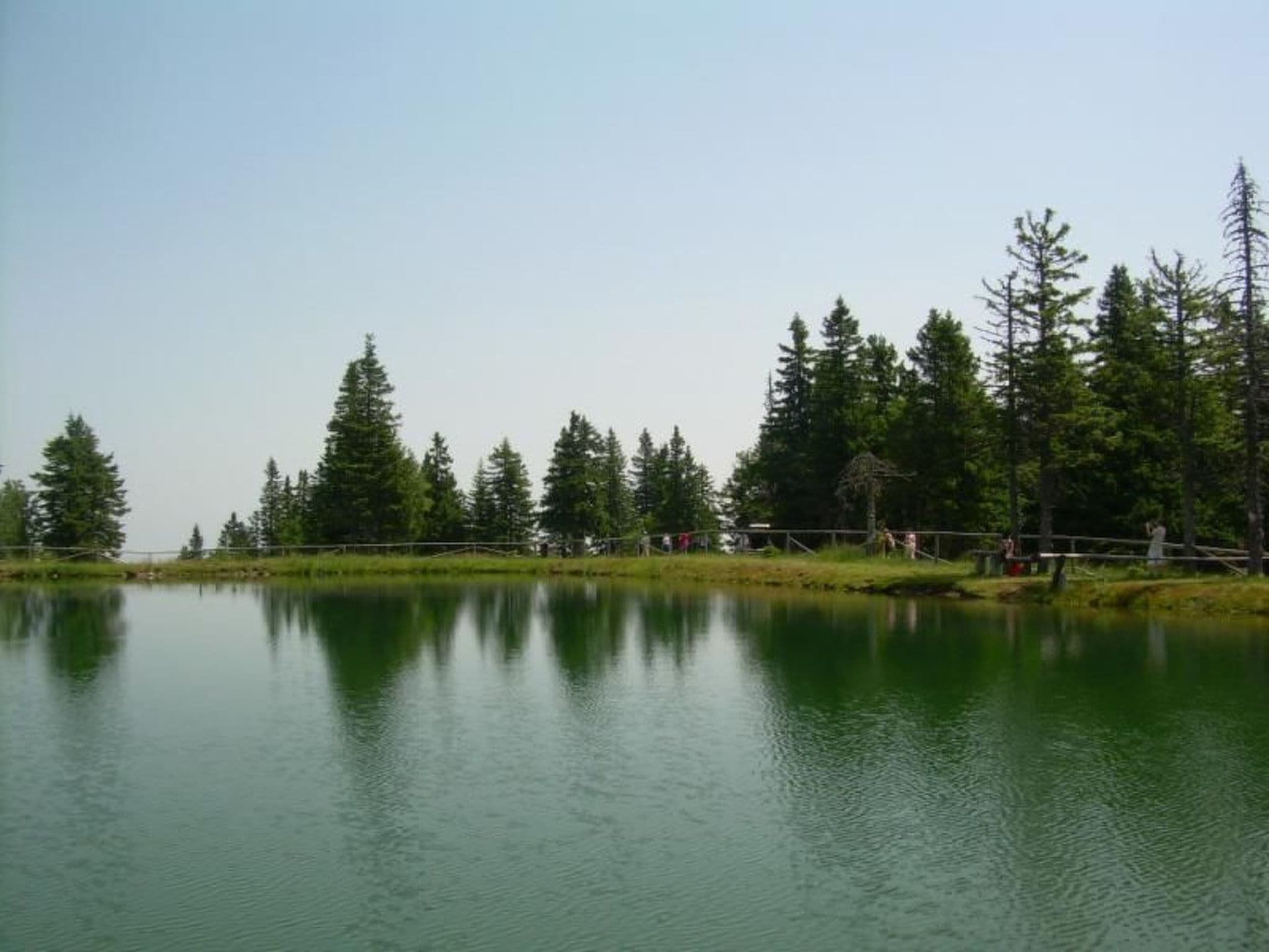 Gallery Image 14