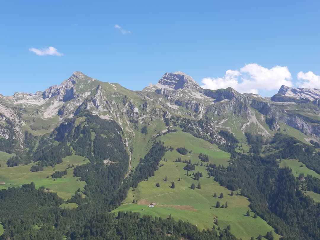 Large Image