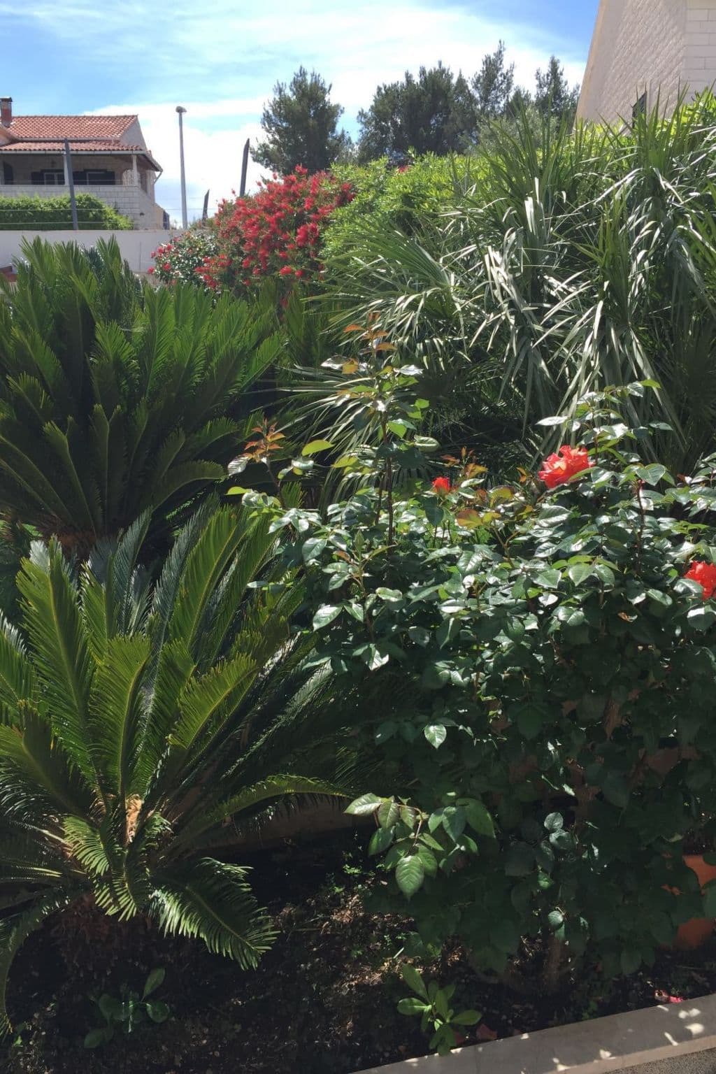 Gallery Image 11