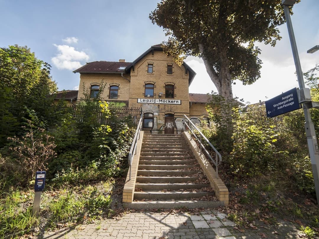 Large Image
