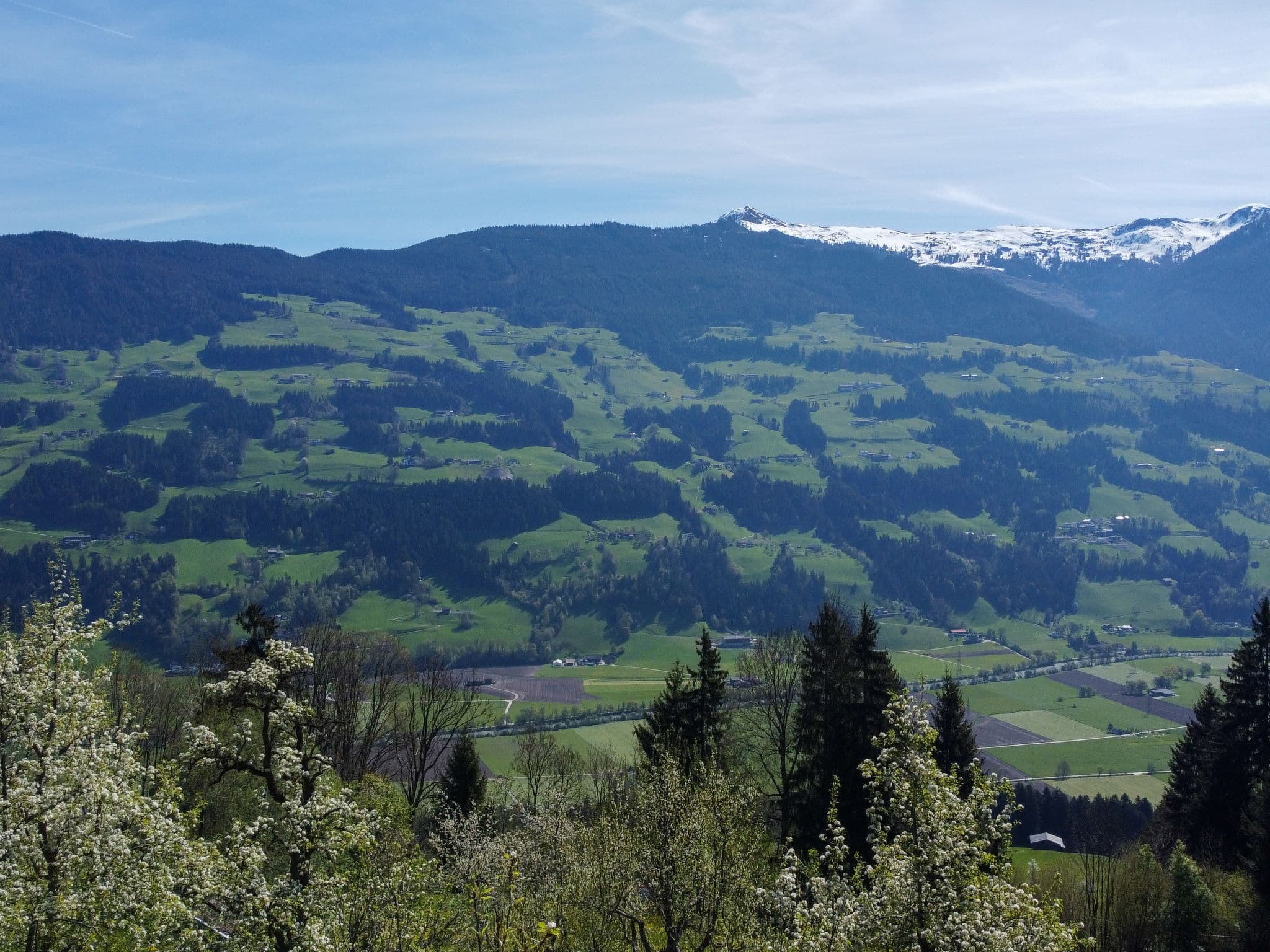View