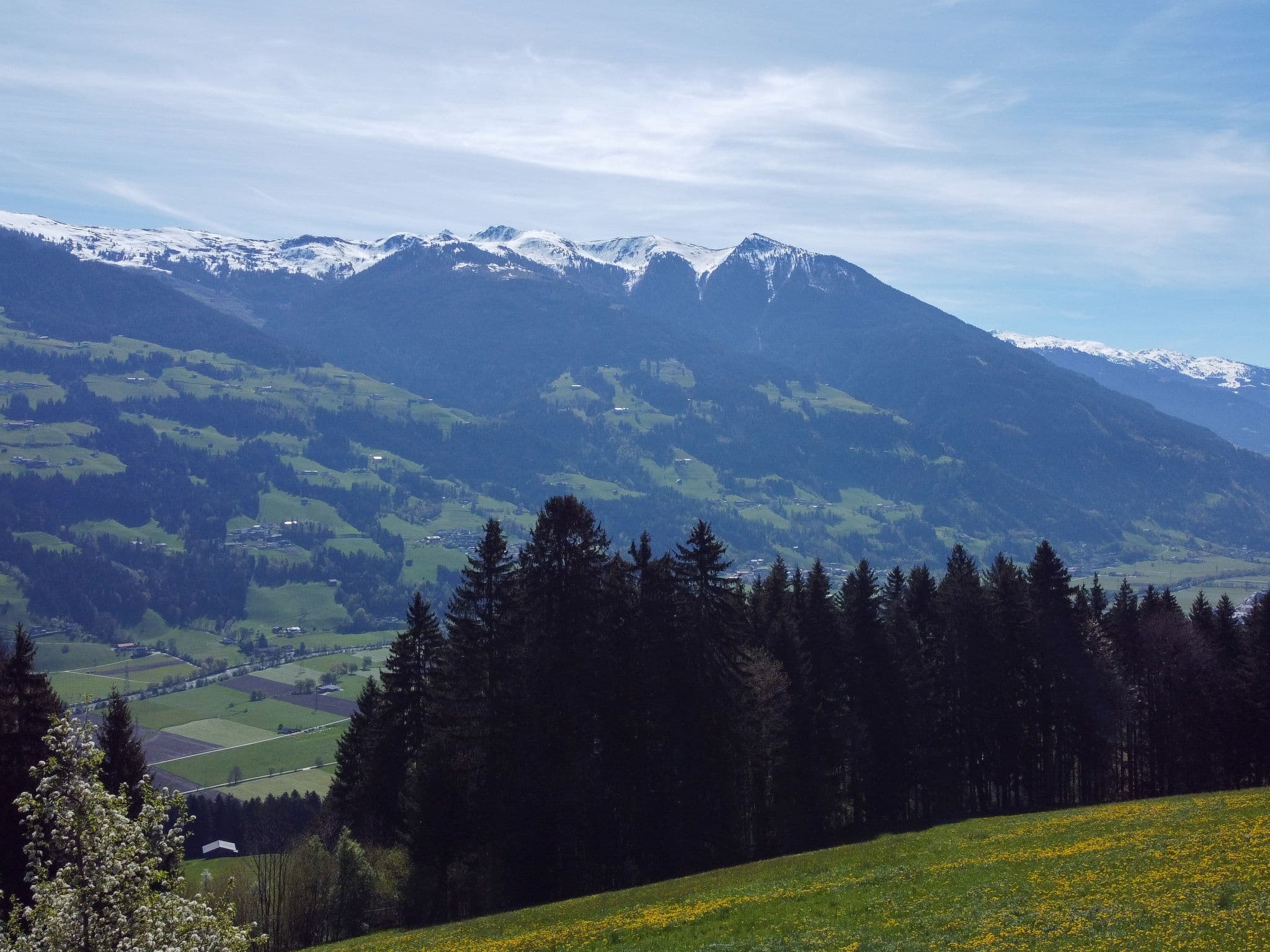 View