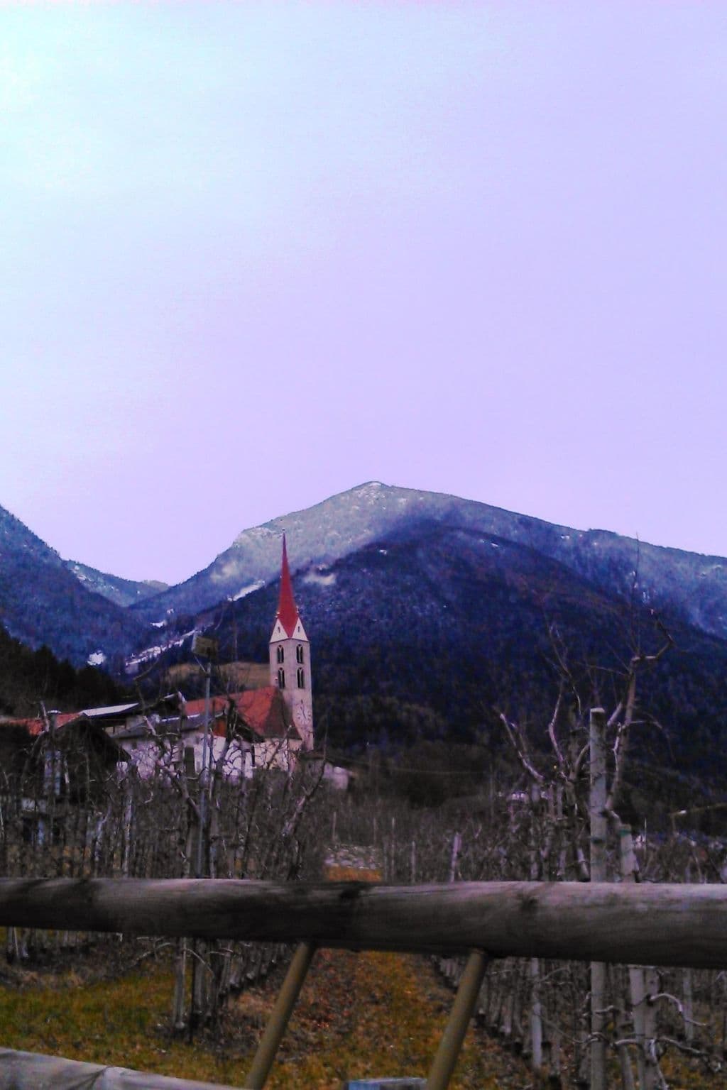 View