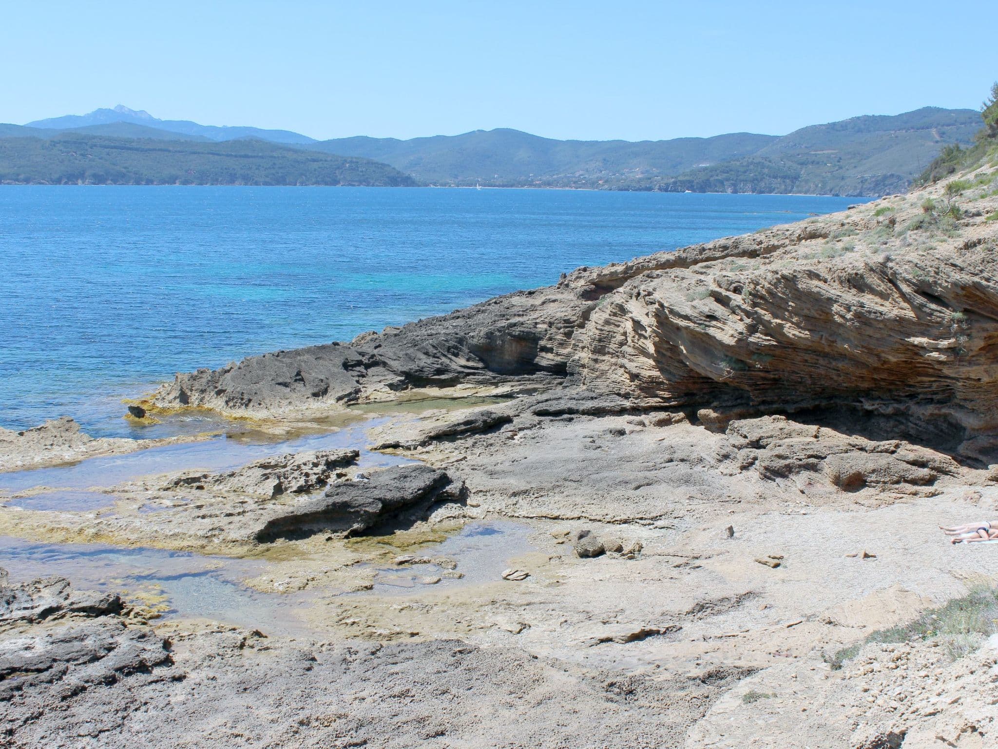 Gallery Image 13