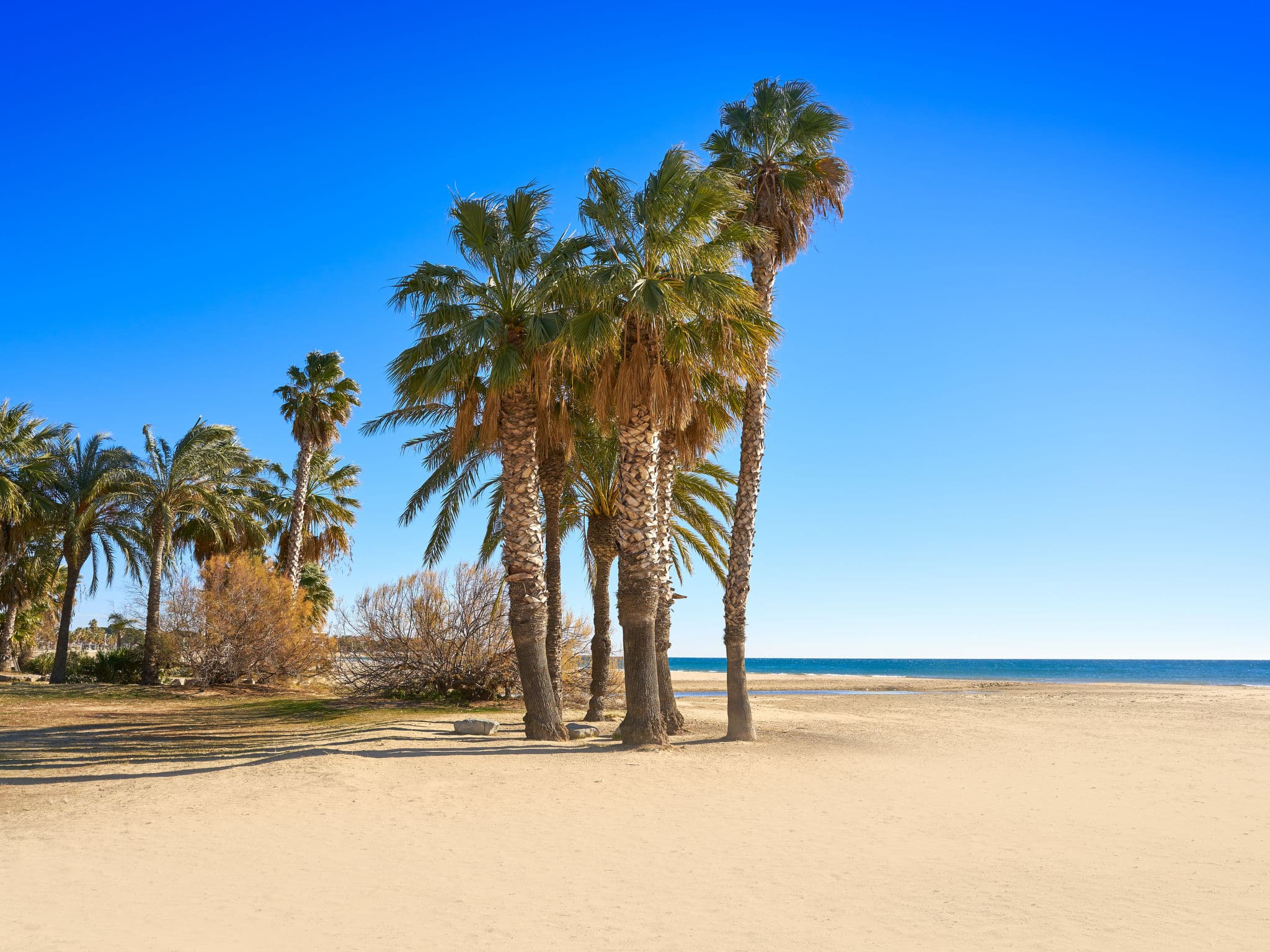 Beach