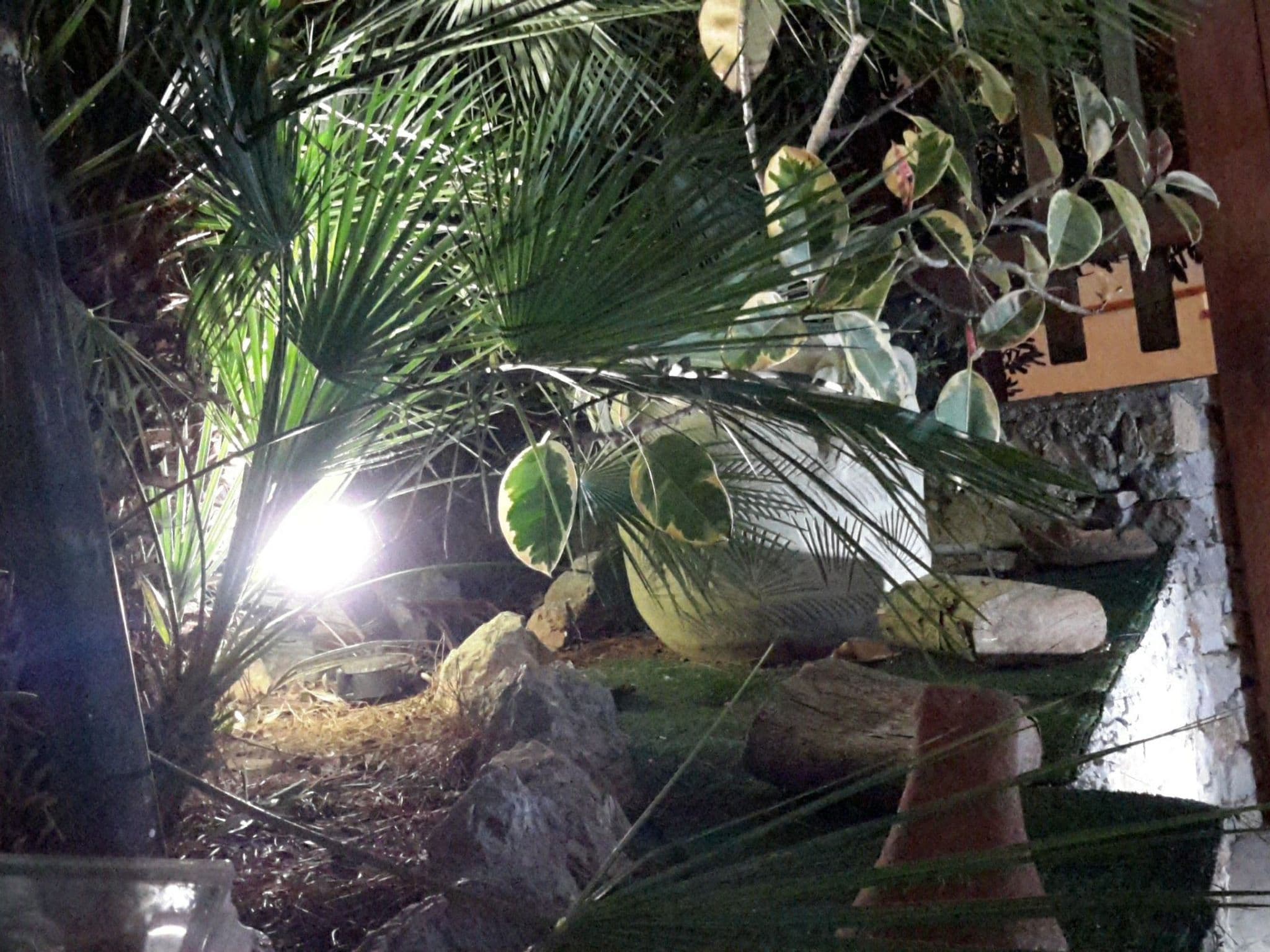 Gallery Image 11