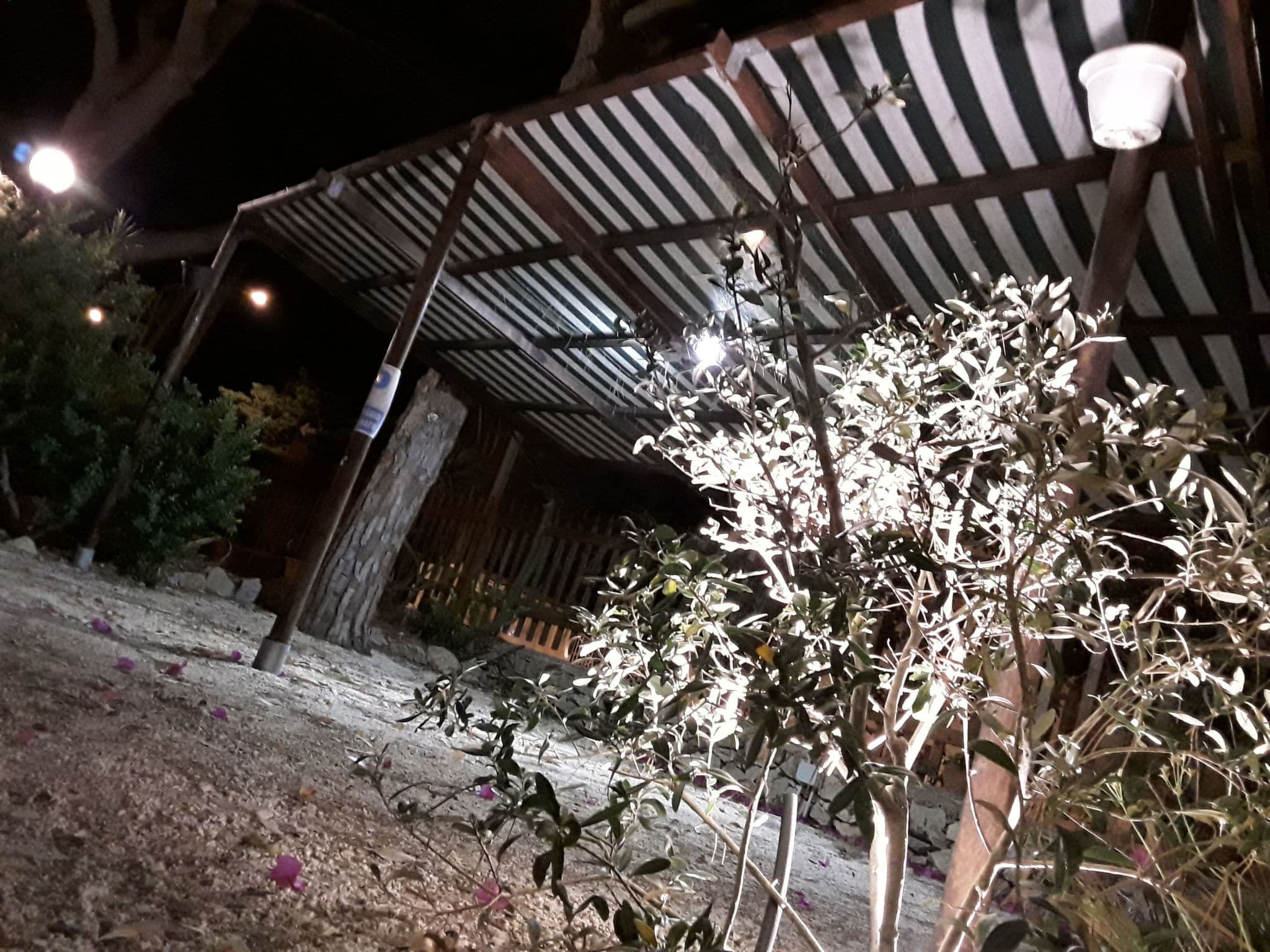 Gallery Image 36
