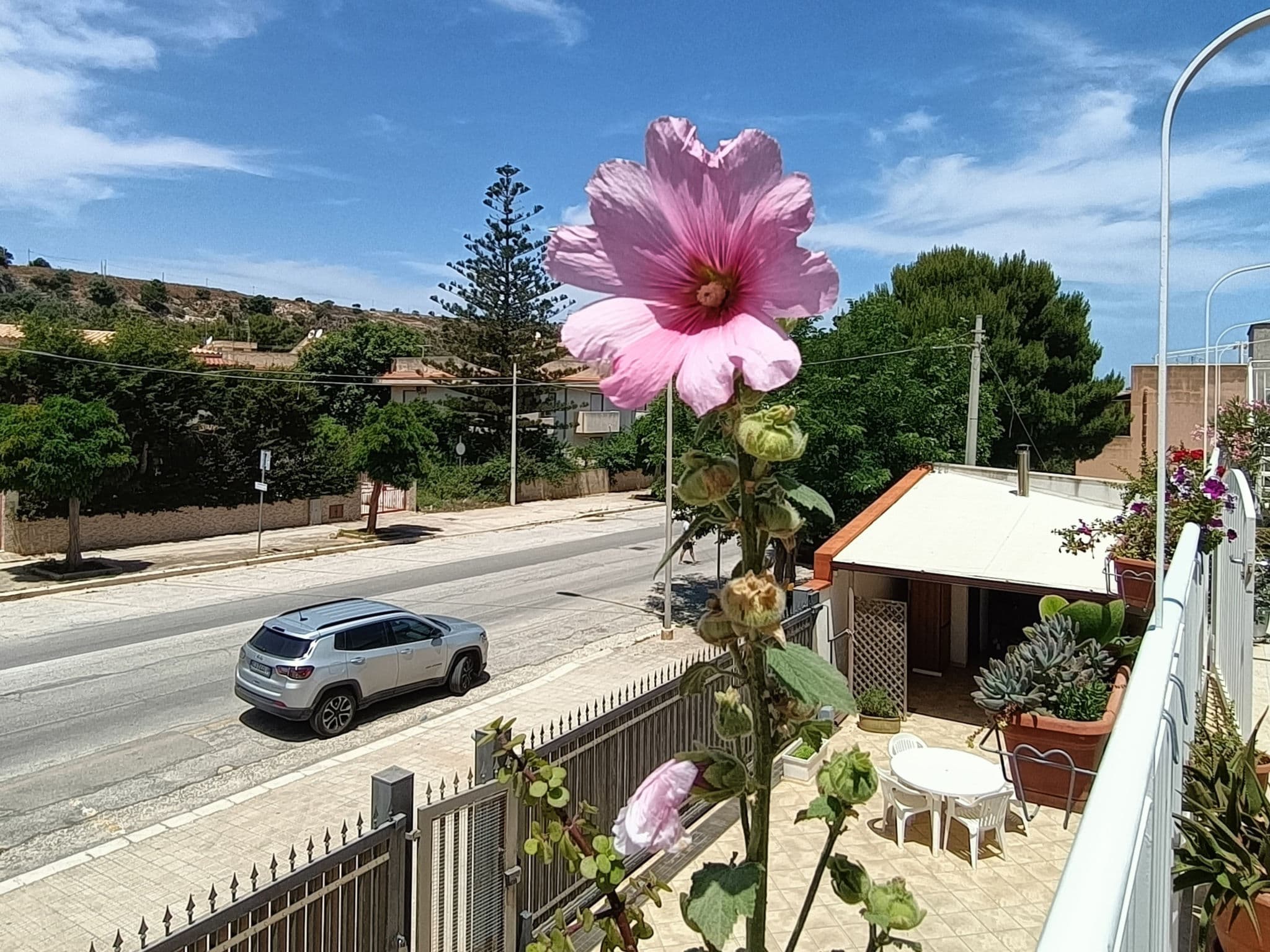 View
