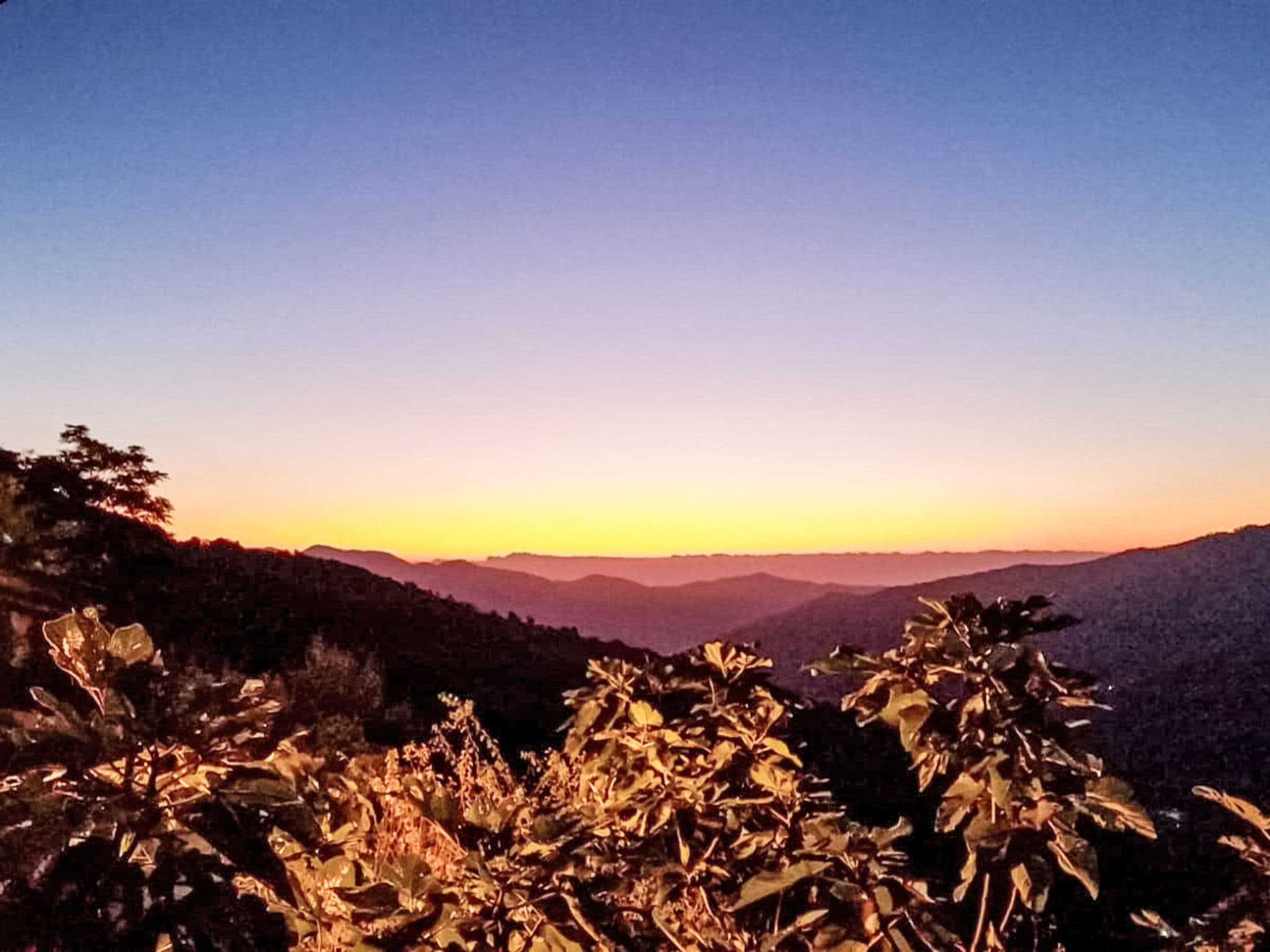 View