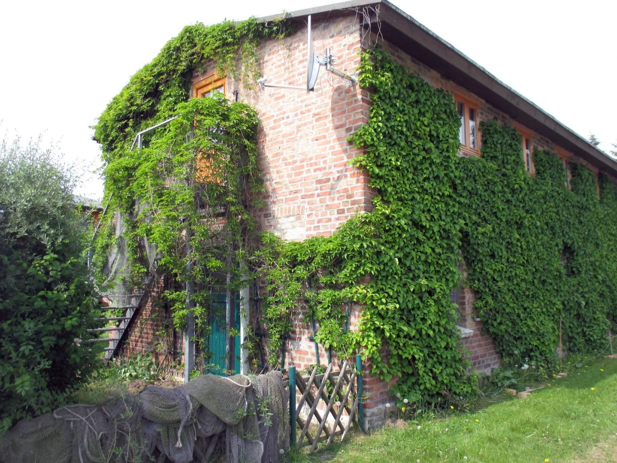 Gallery Image 13