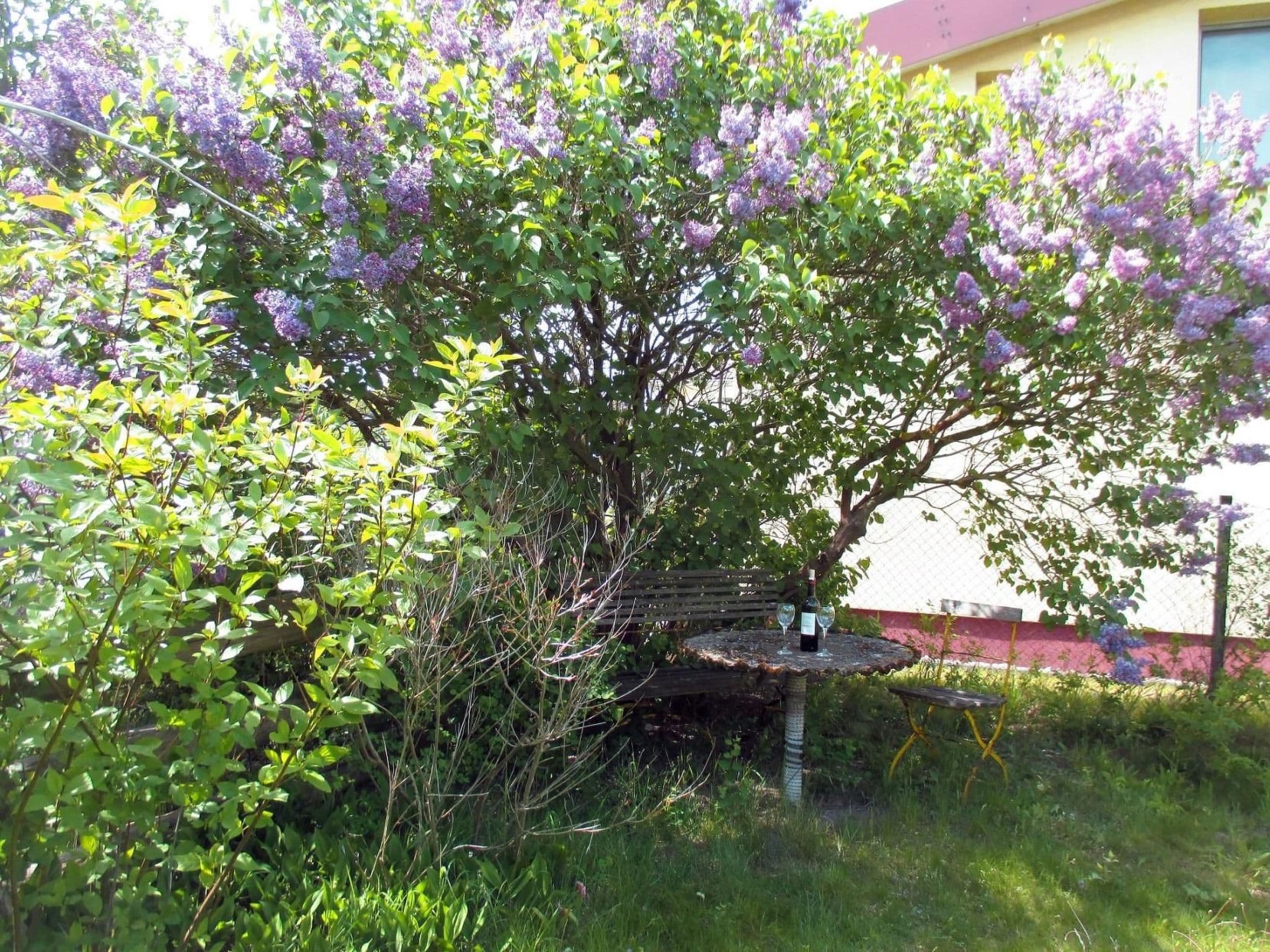 Gallery Image 19