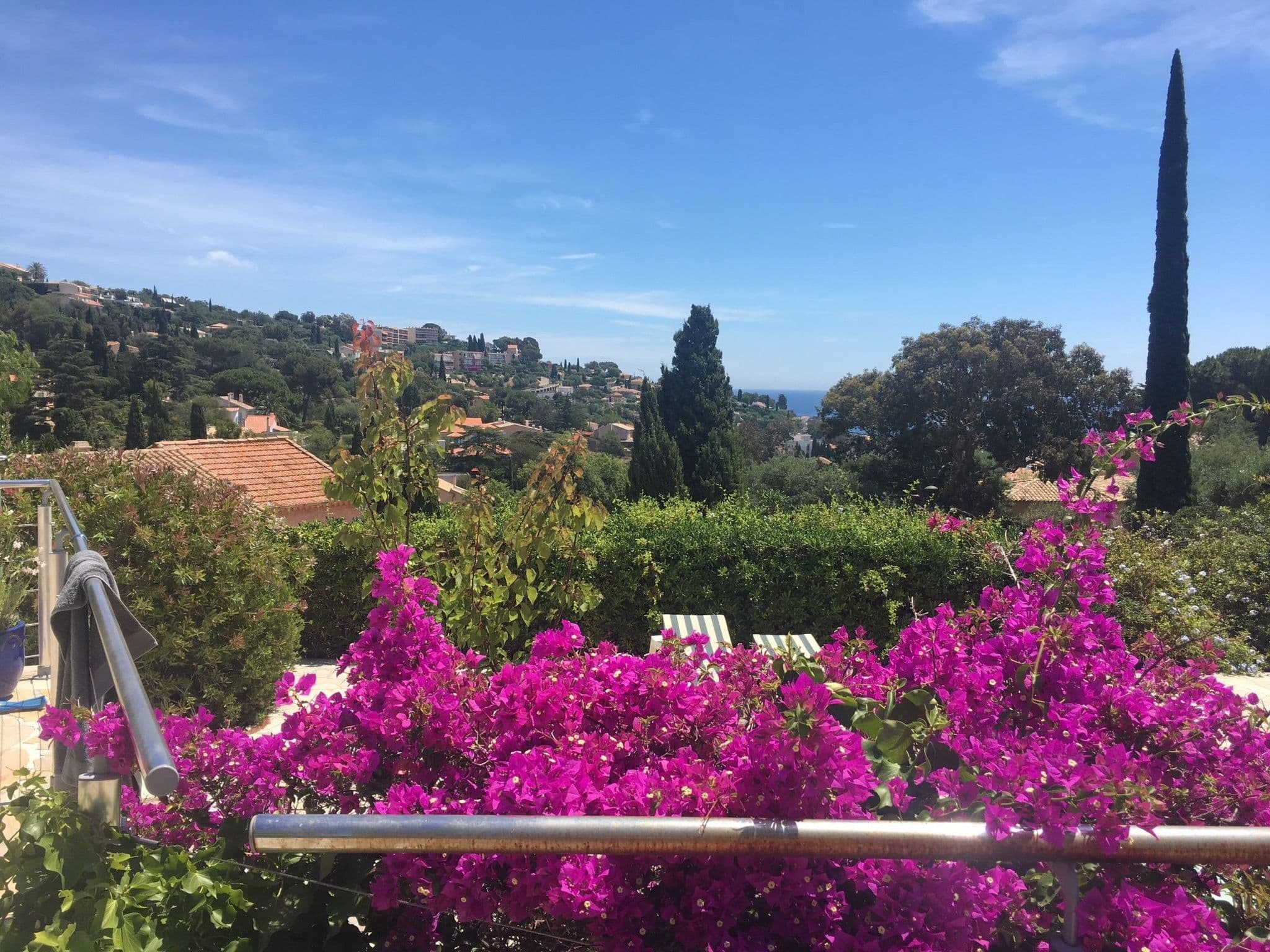 View