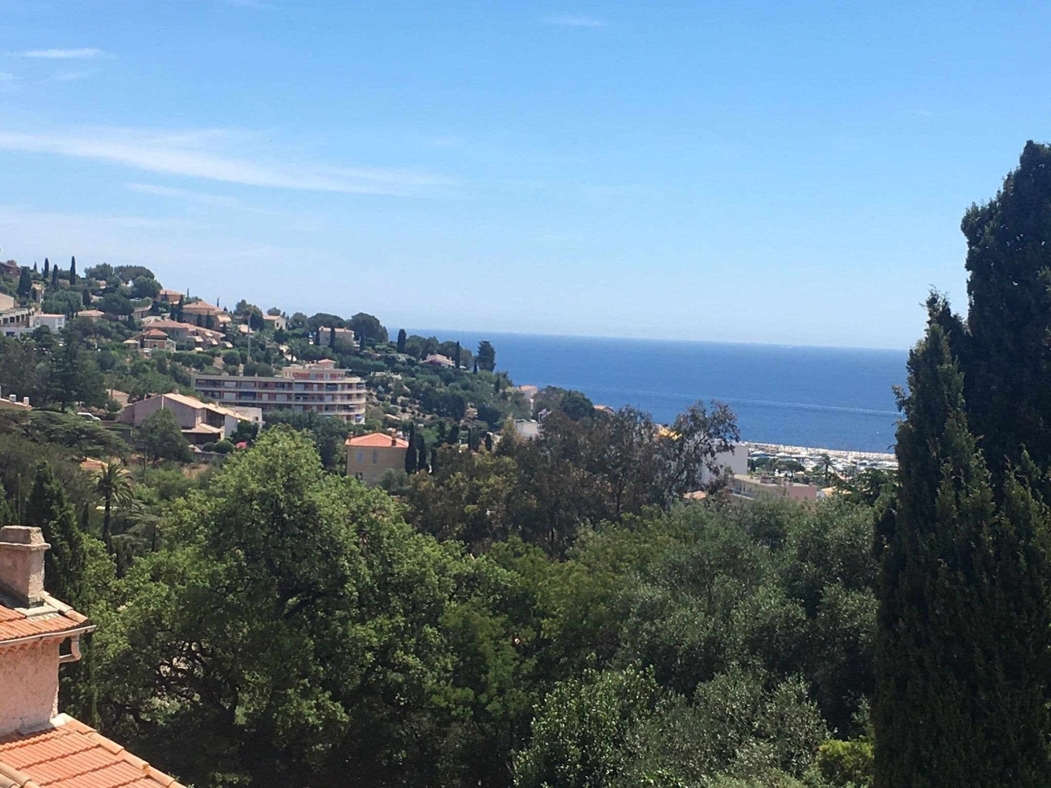 View