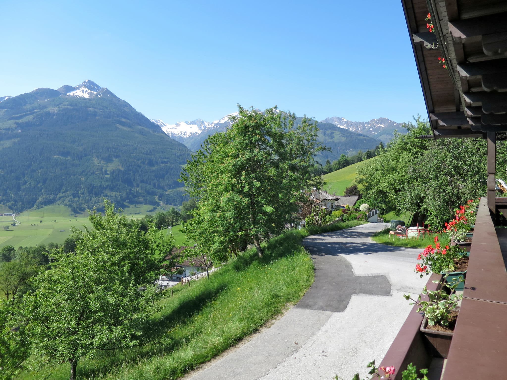 View