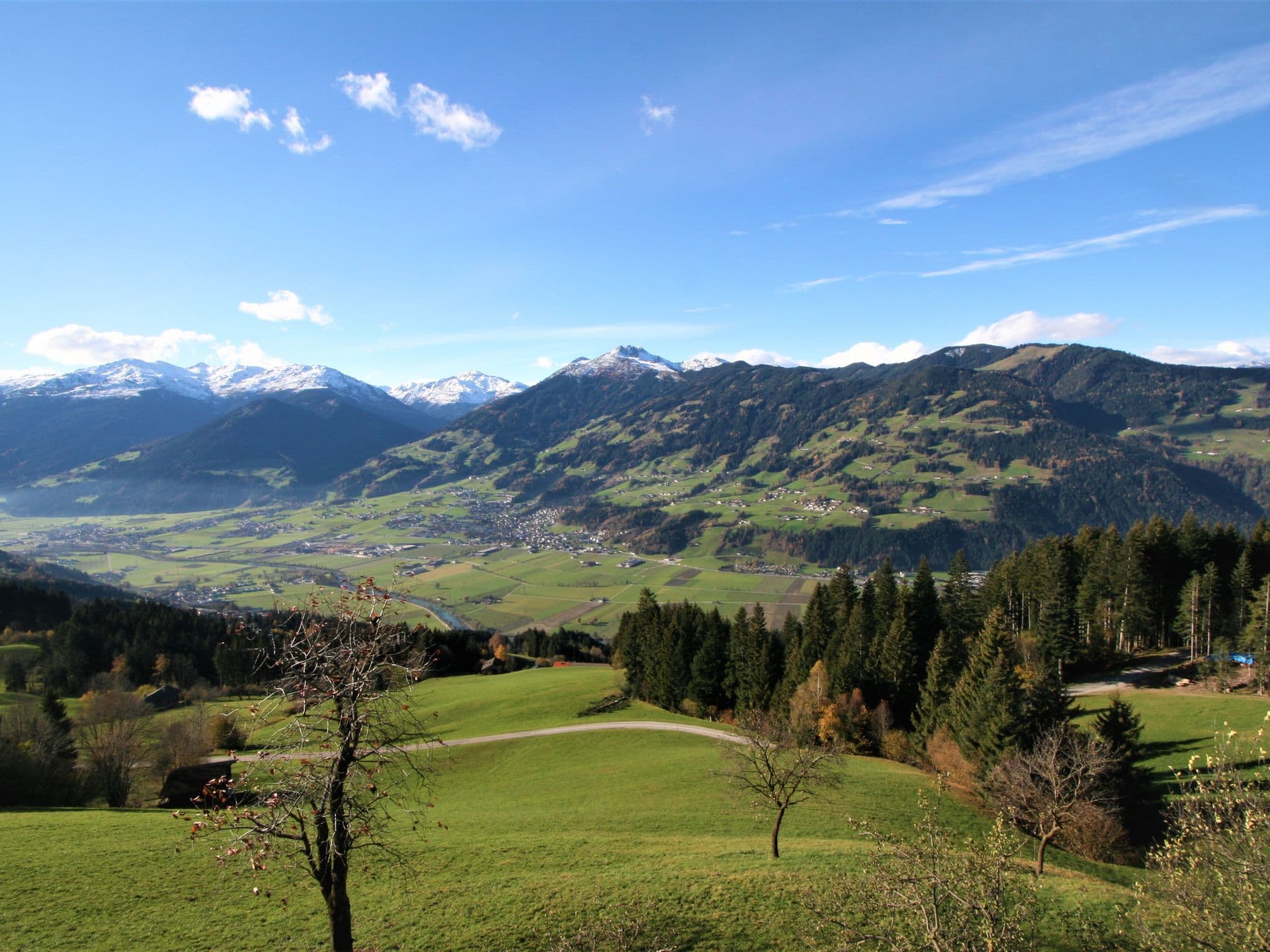 View