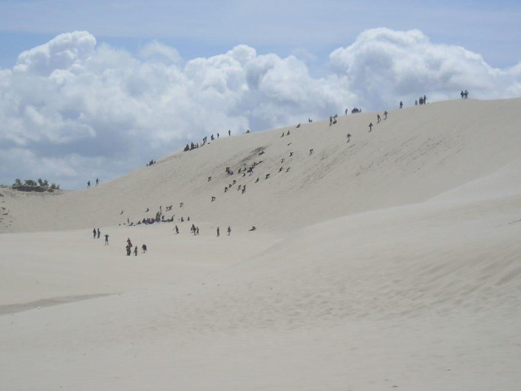 Gallery Image 9