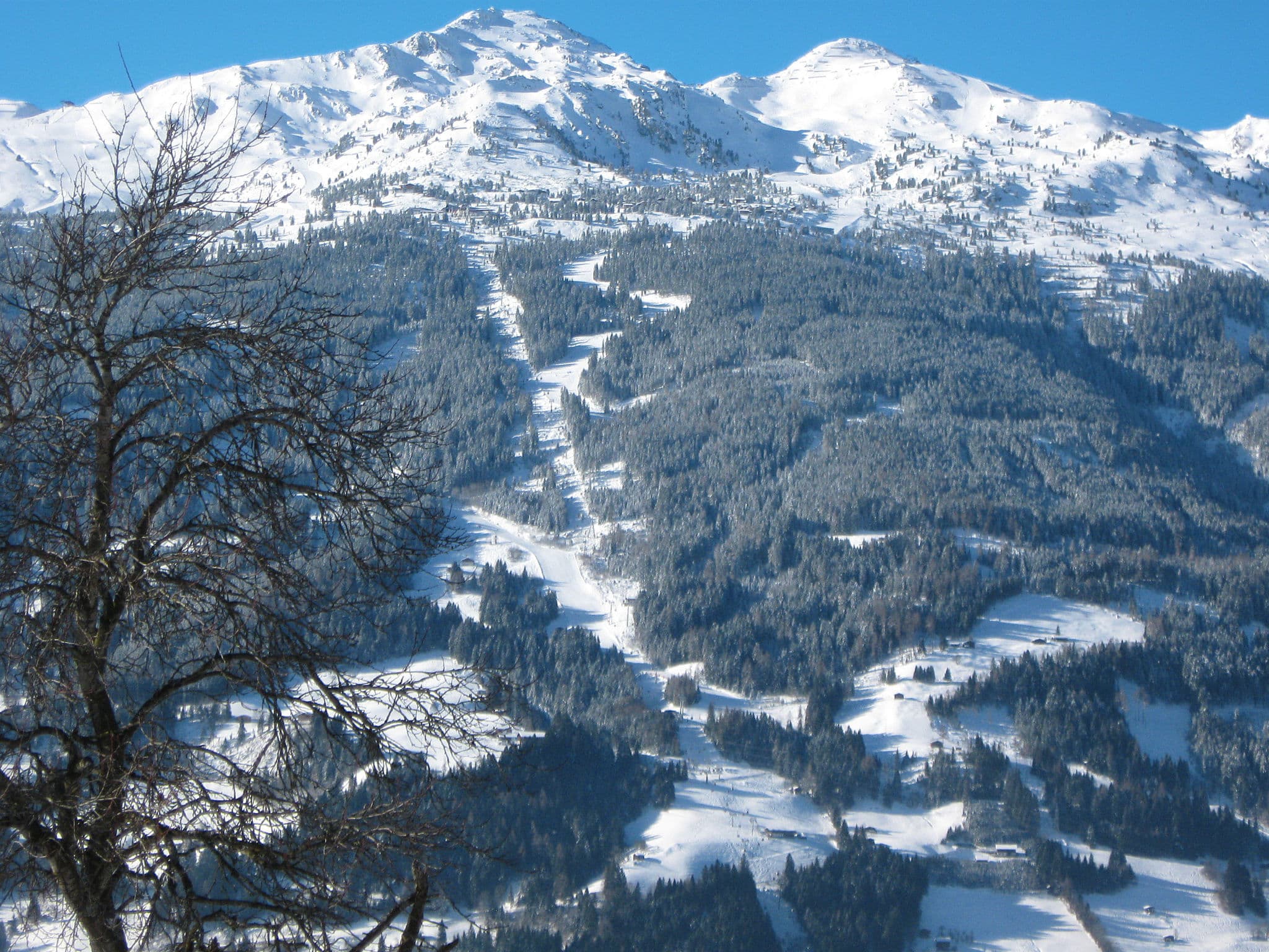 View