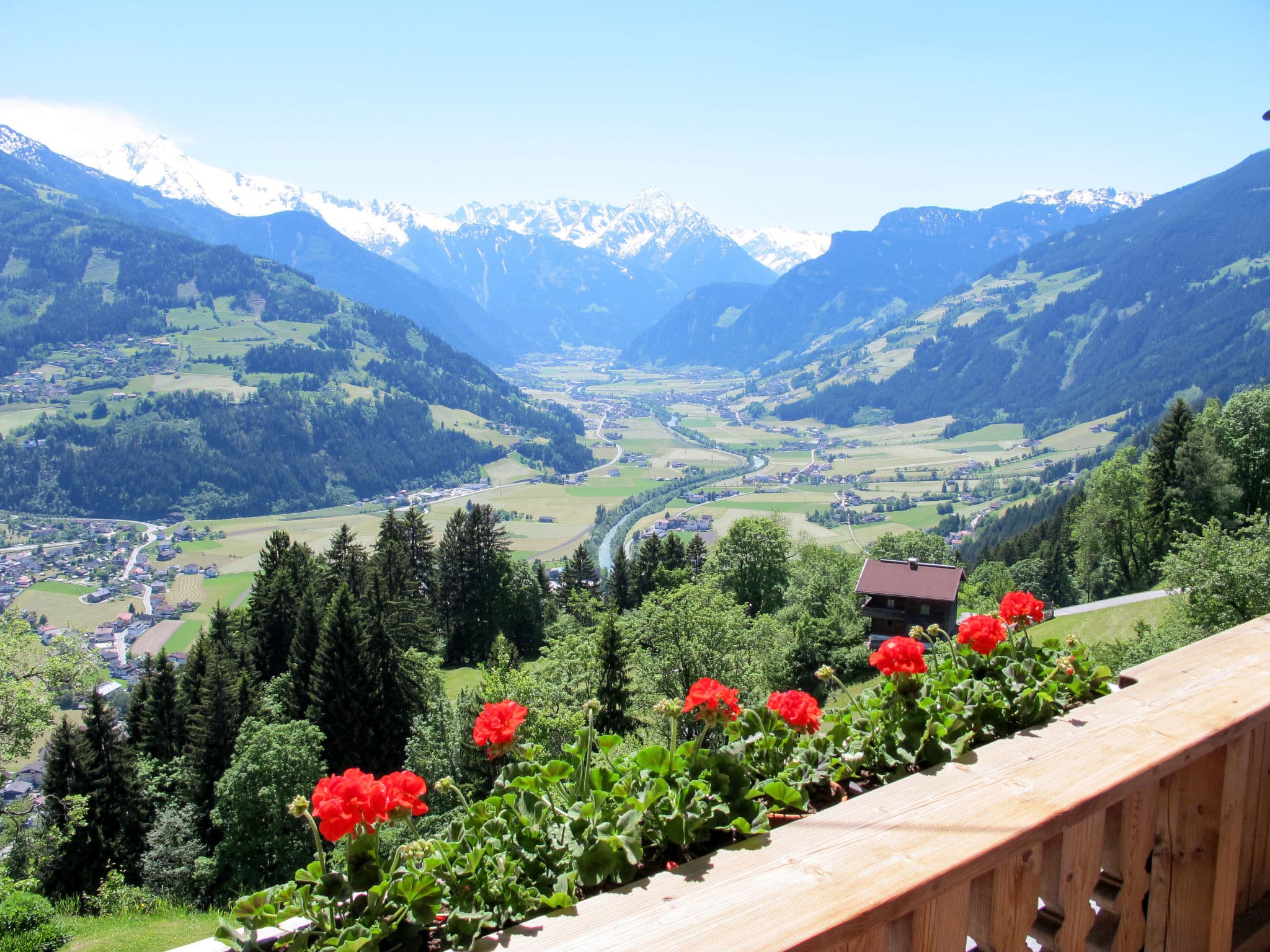 View