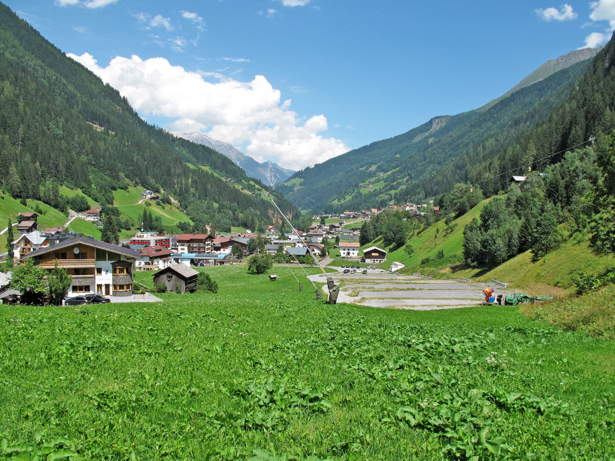 View
