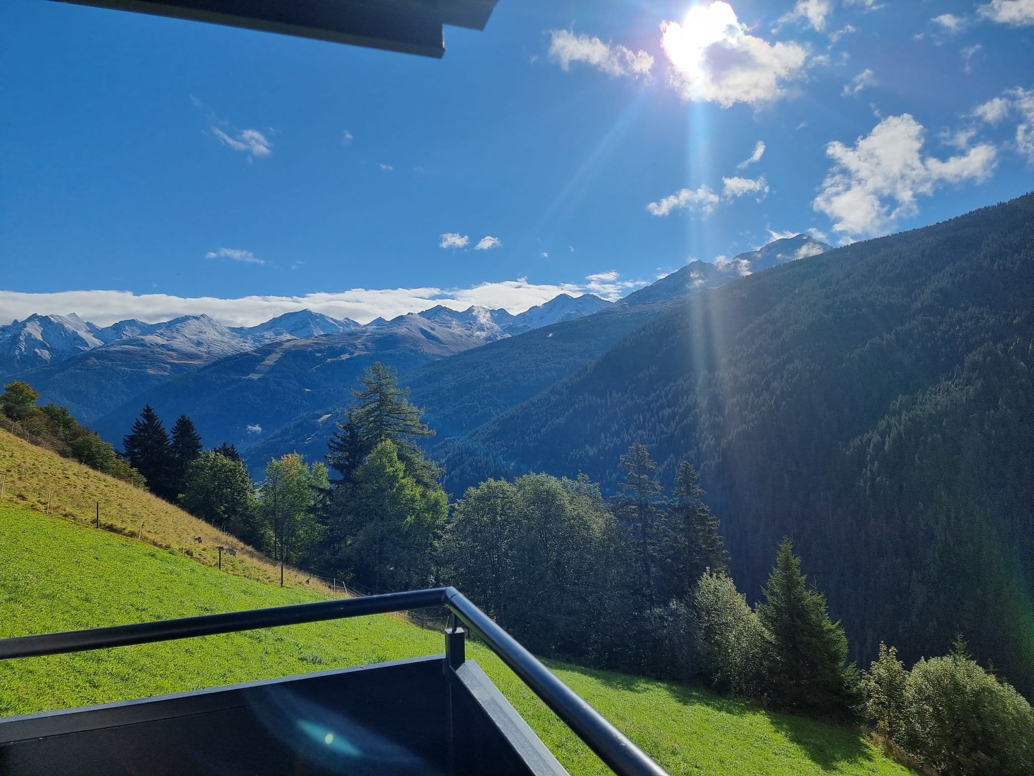 View