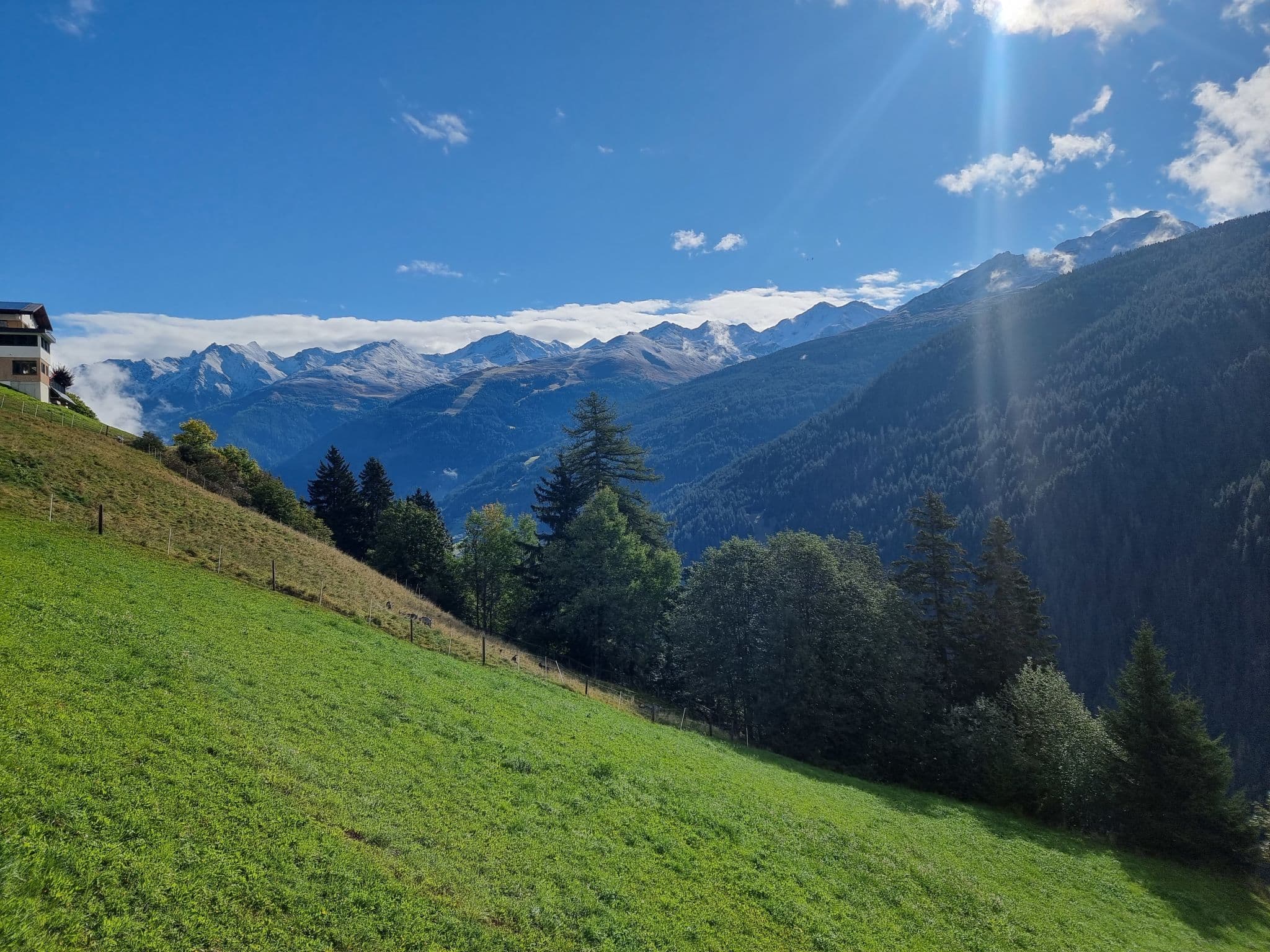 View