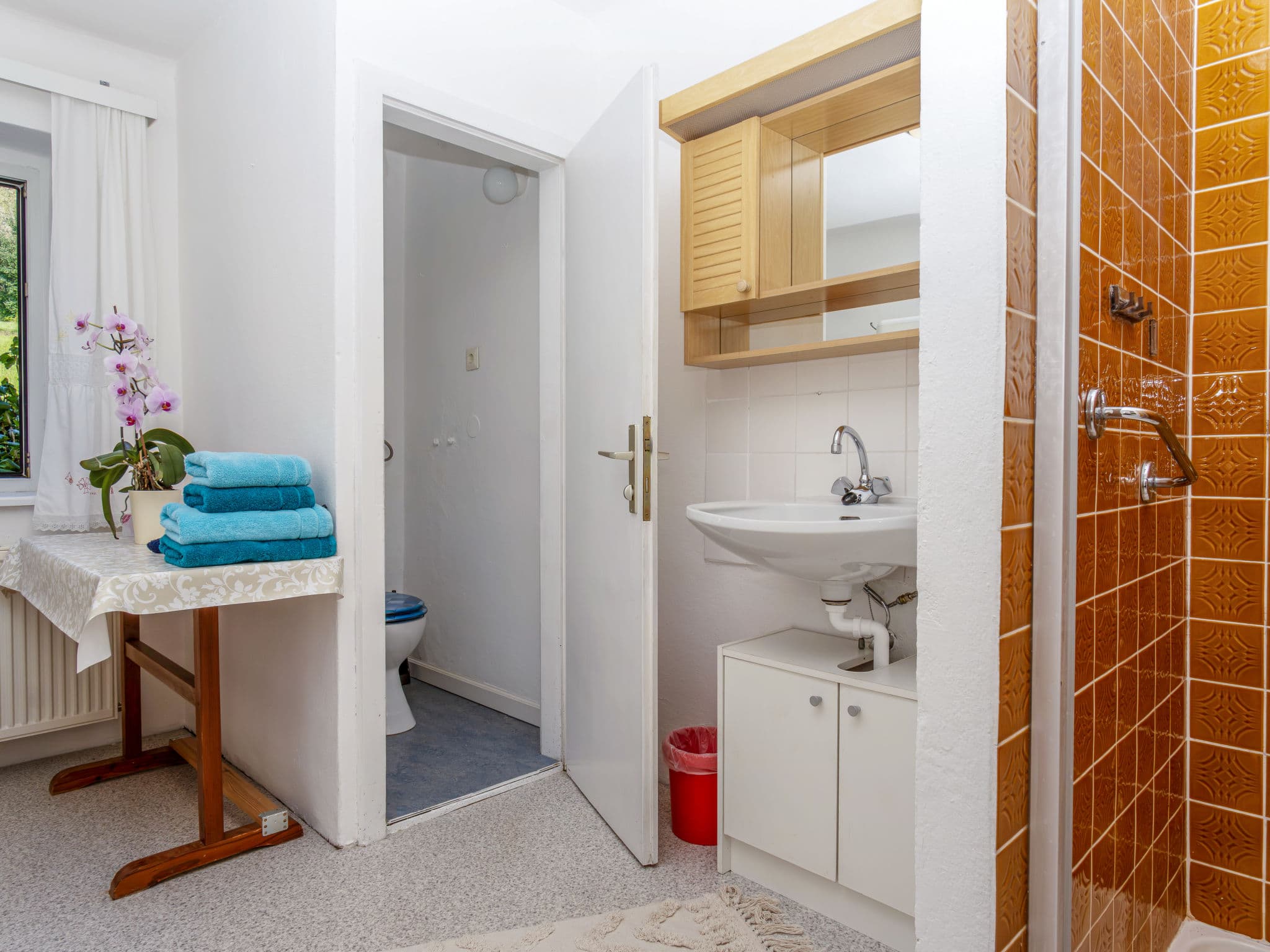 Bathroom / Wellness