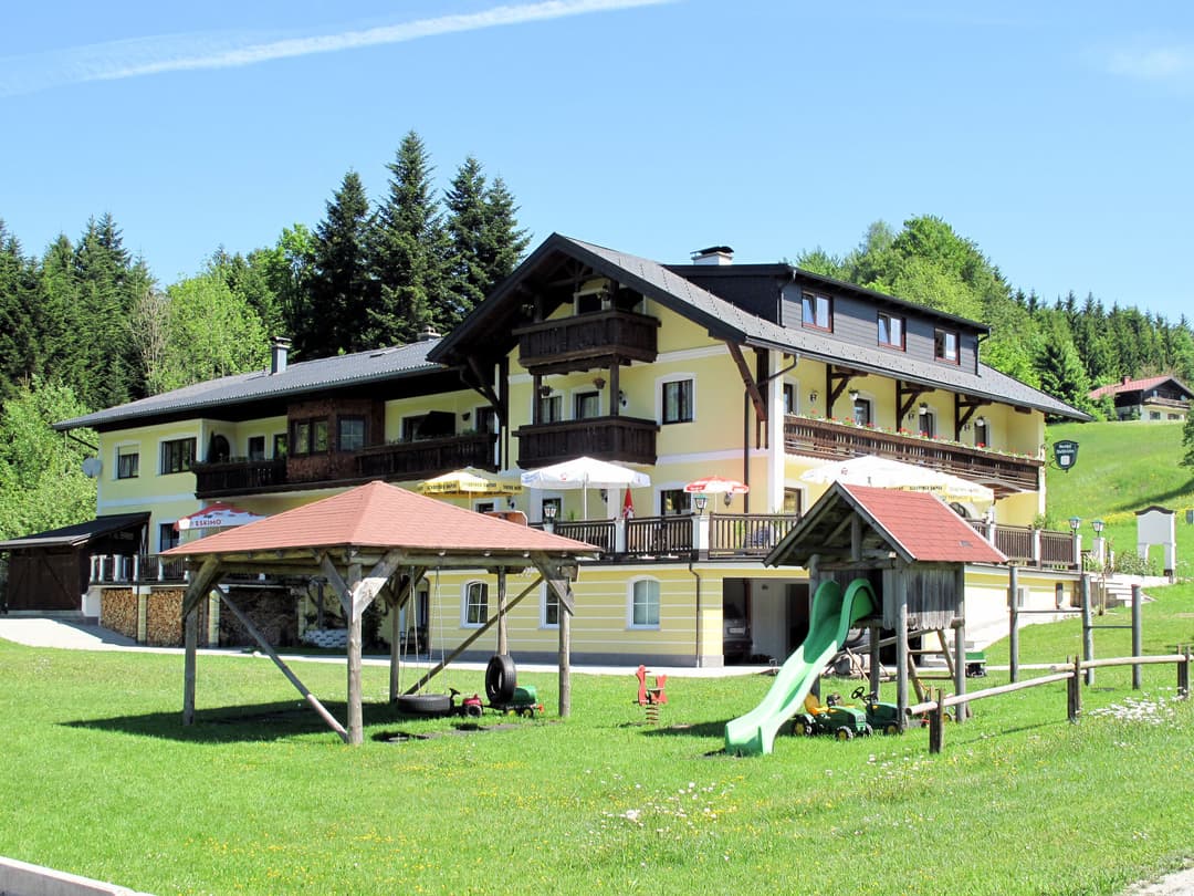 Large Image