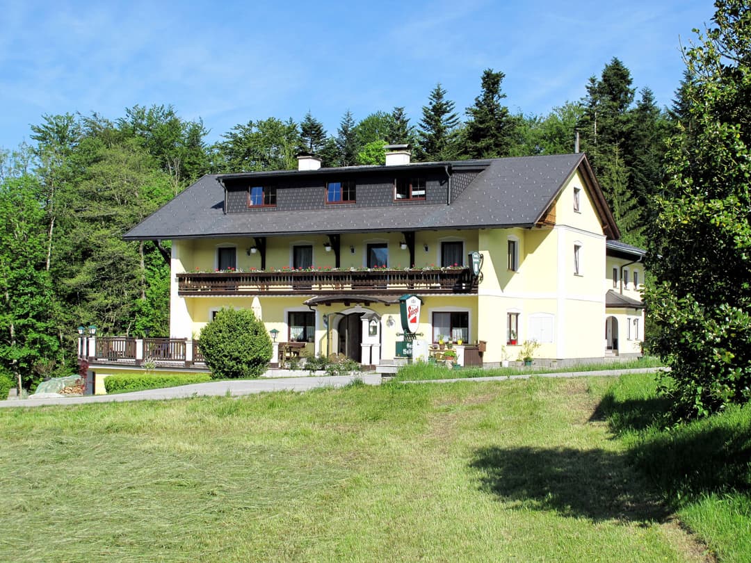 Large Image