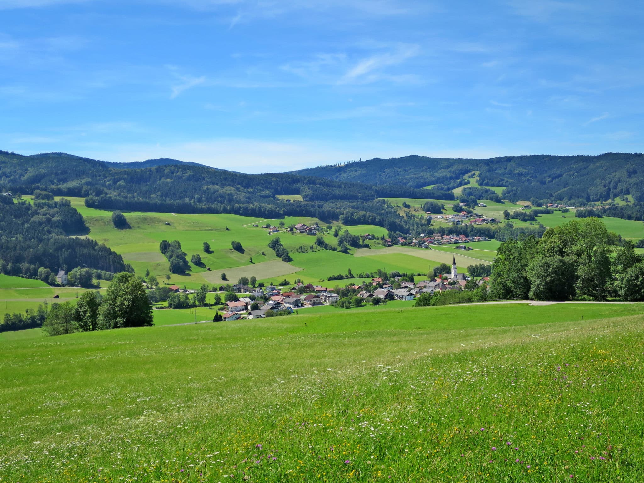 View