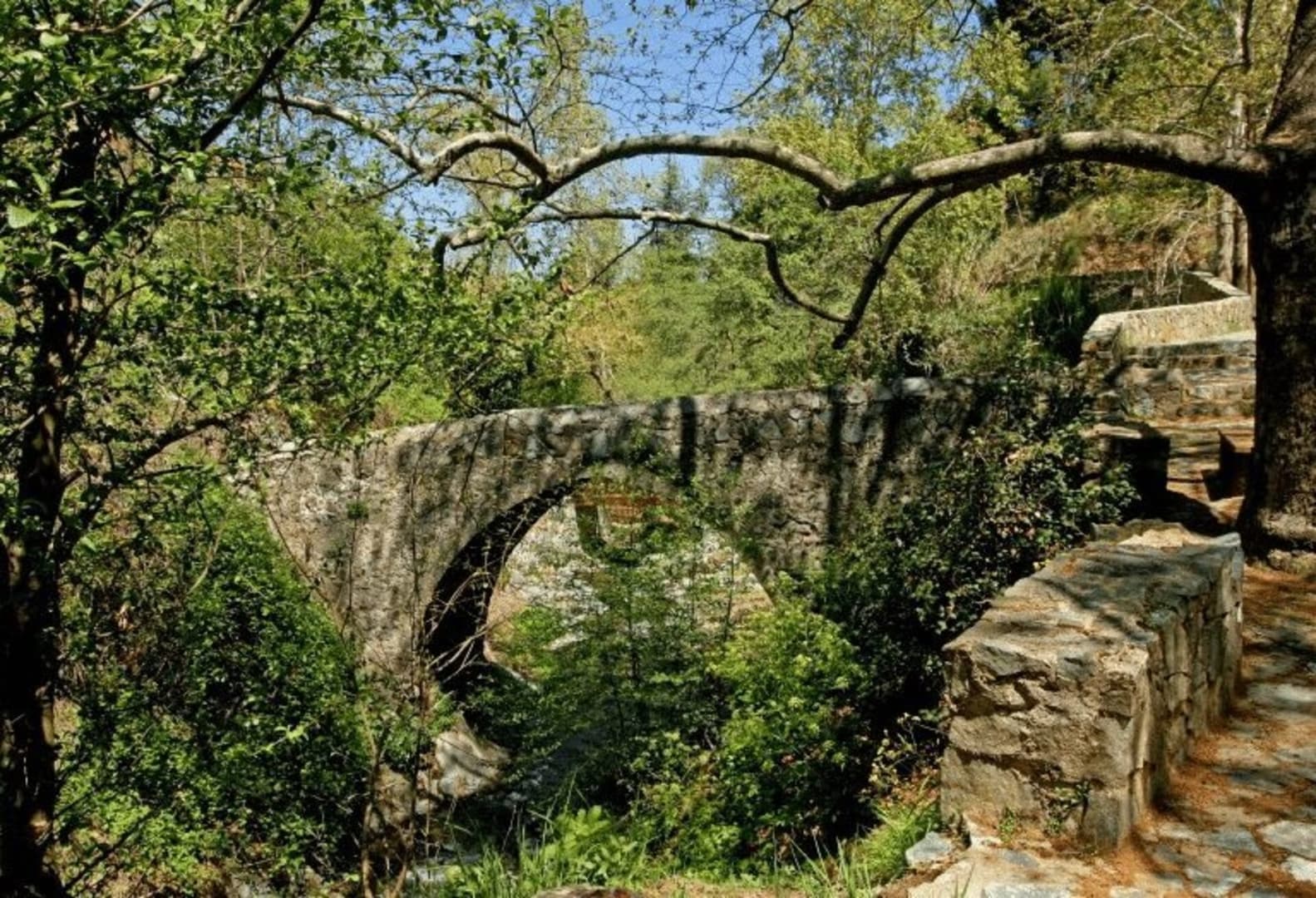Gallery Image 11