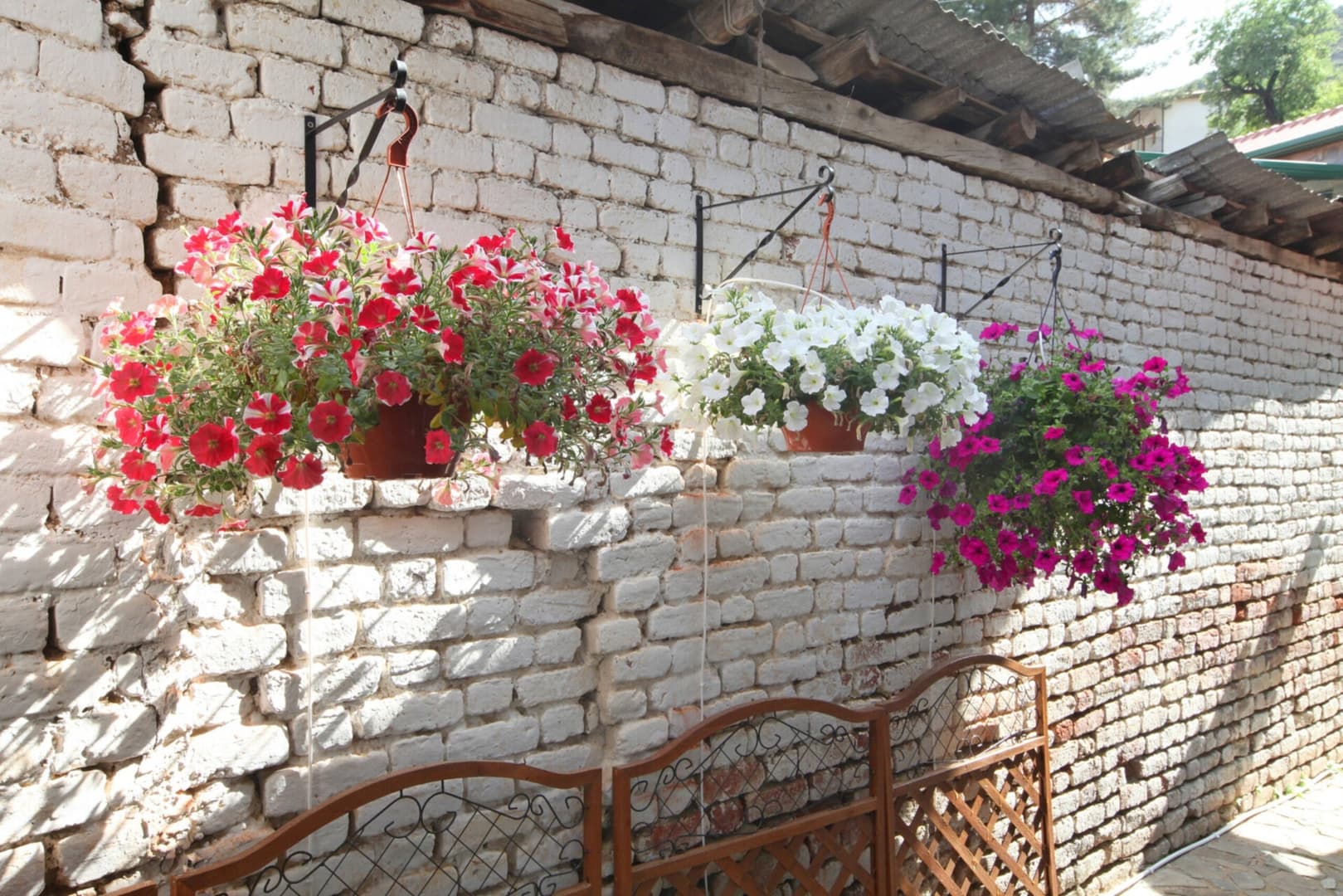 Gallery Image 11