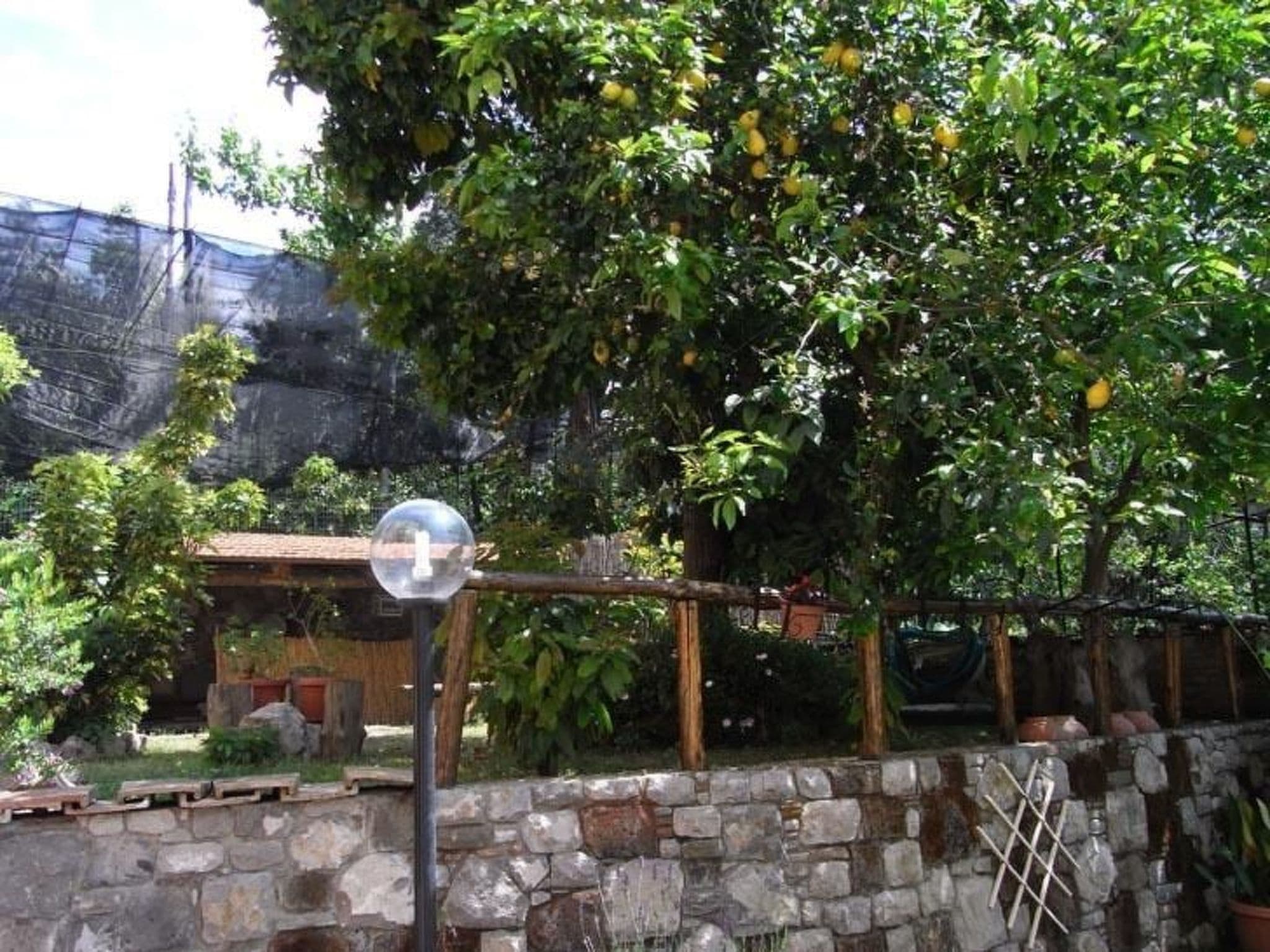 Gallery Image 11