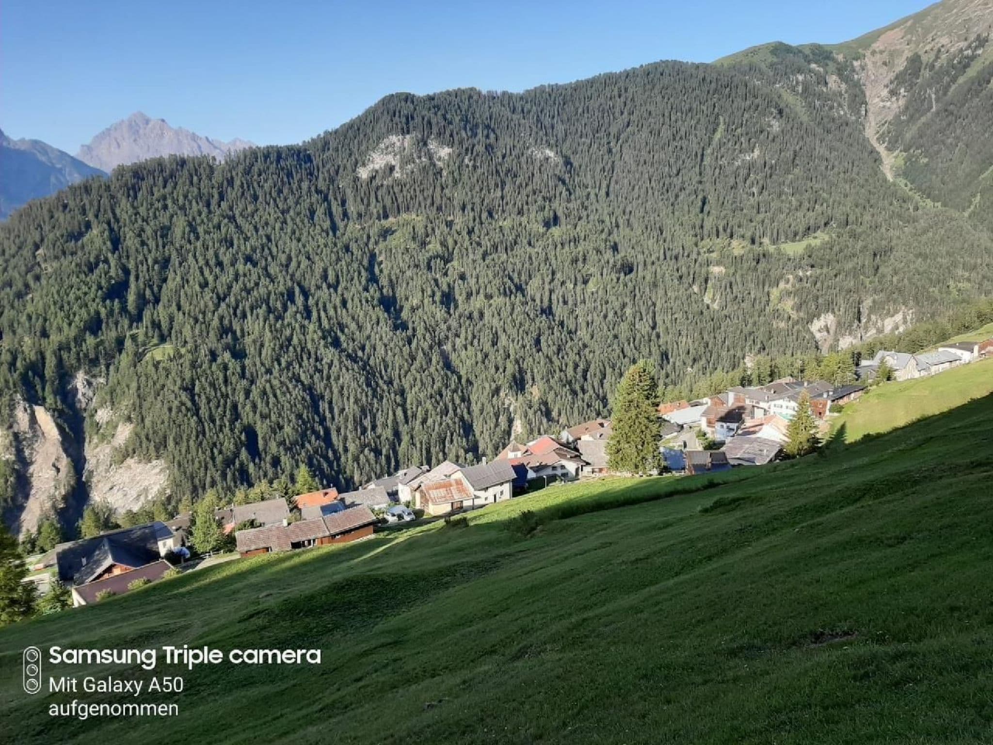 View